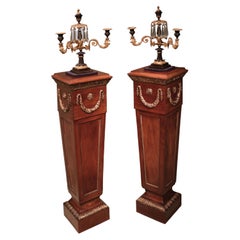 Pair of 19th Century Mahogany and Gilt Brass Pedestals