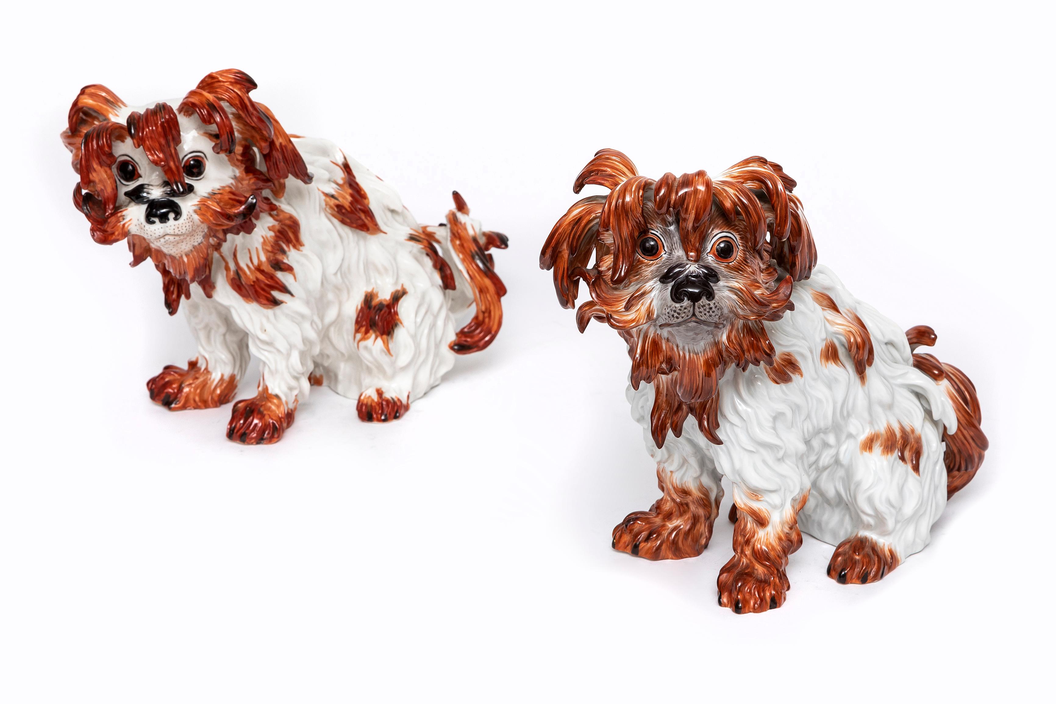 Ein Paar antike Meissener Porzellanmodelle von Bologneser Hunden des 19. Jahrhunderts, nach J. Kirchner.  Ein fein modelliertes Paar Meissener Porzellanfiguren aus dem 19. Jahrhundert, die Bologneser Hunde darstellen, nach Entwürfen von Johann
