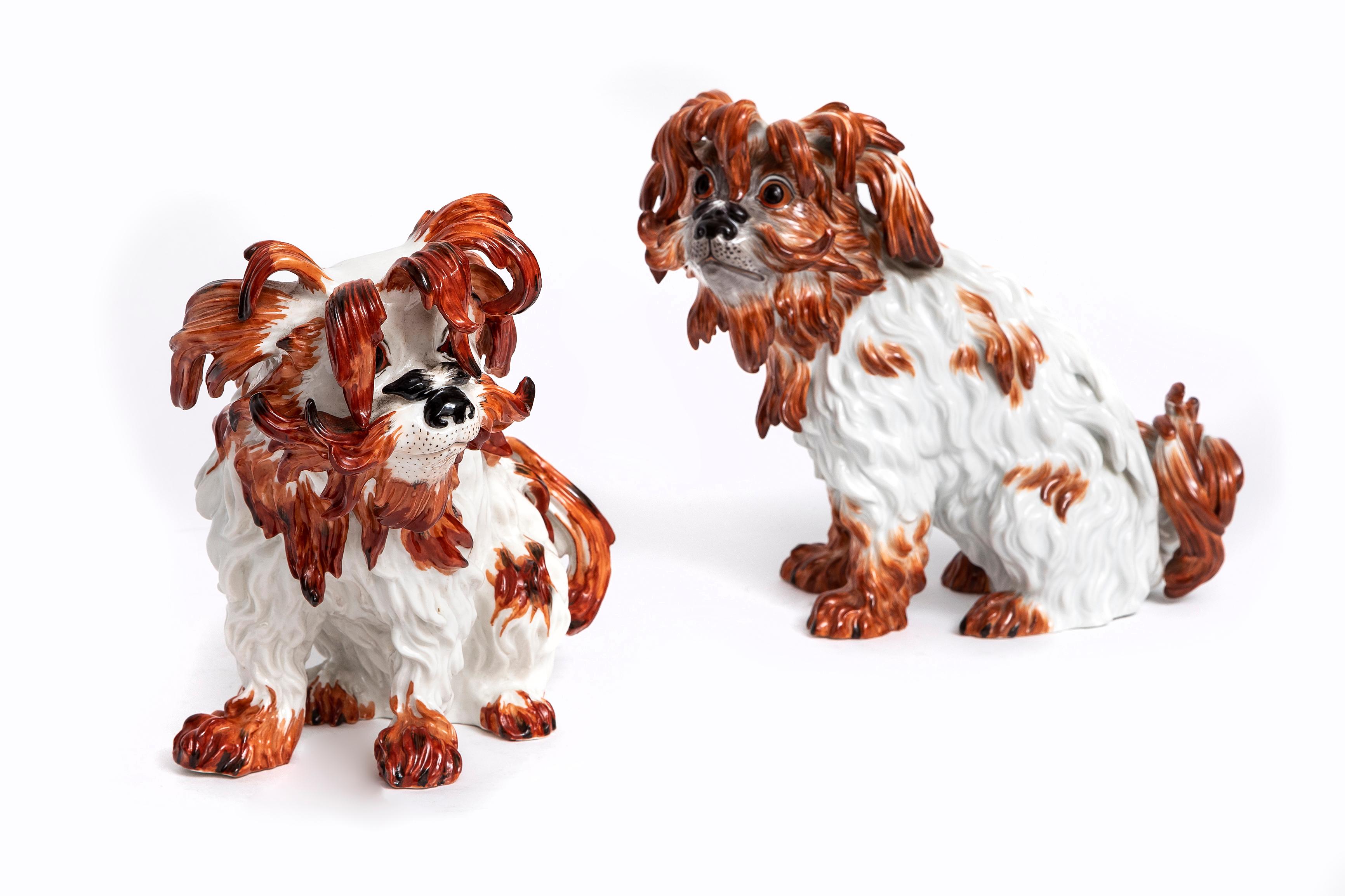 Ein Paar Meissen Porcelain Modelle von Bologneser Hunden aus dem 19. Jahrhundert, J.J. Kandler (Louis XVI.) im Angebot