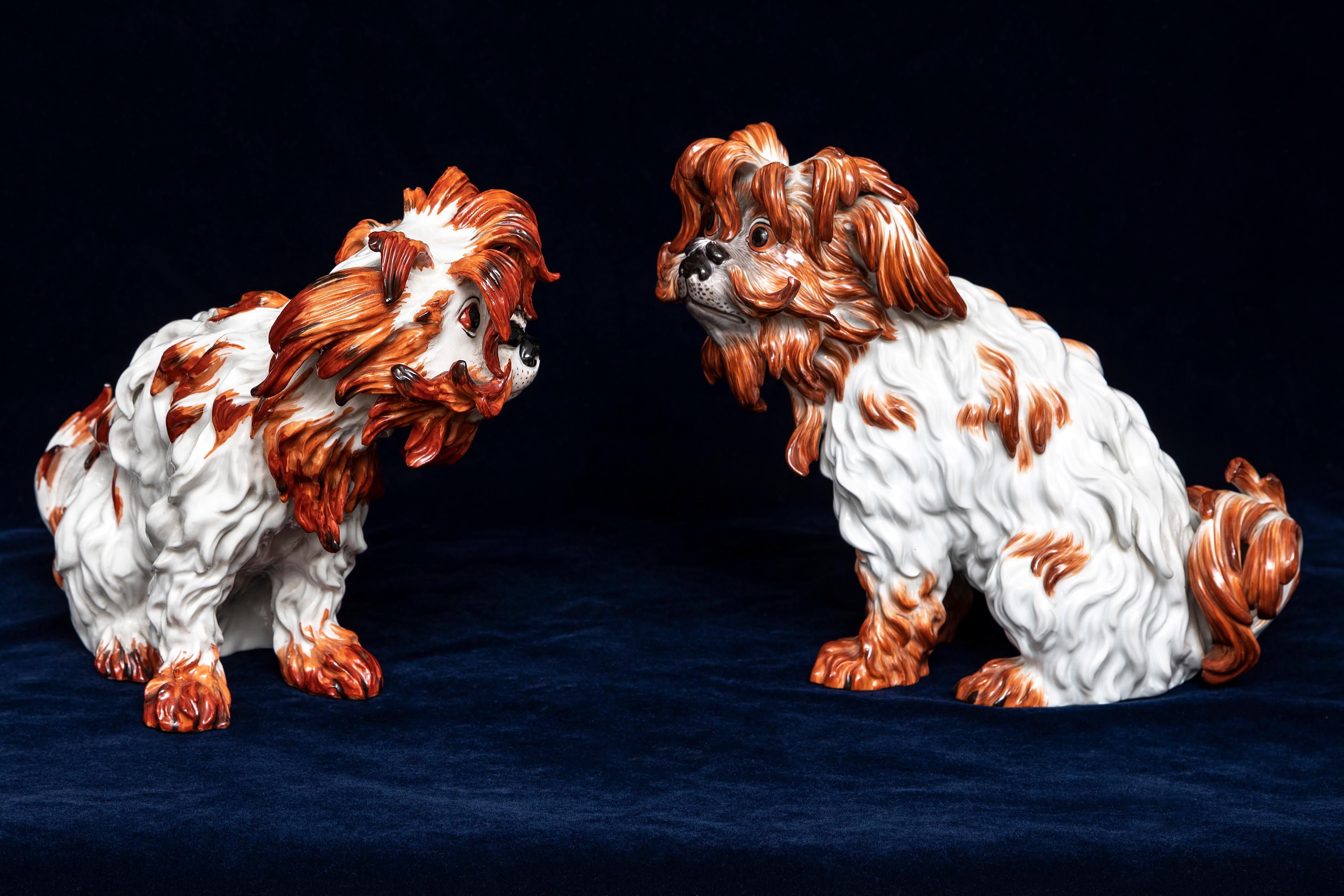 Ein Paar Meissen Porcelain Modelle von Bologneser Hunden aus dem 19. Jahrhundert, J.J. Kandler (Deutsch) im Angebot