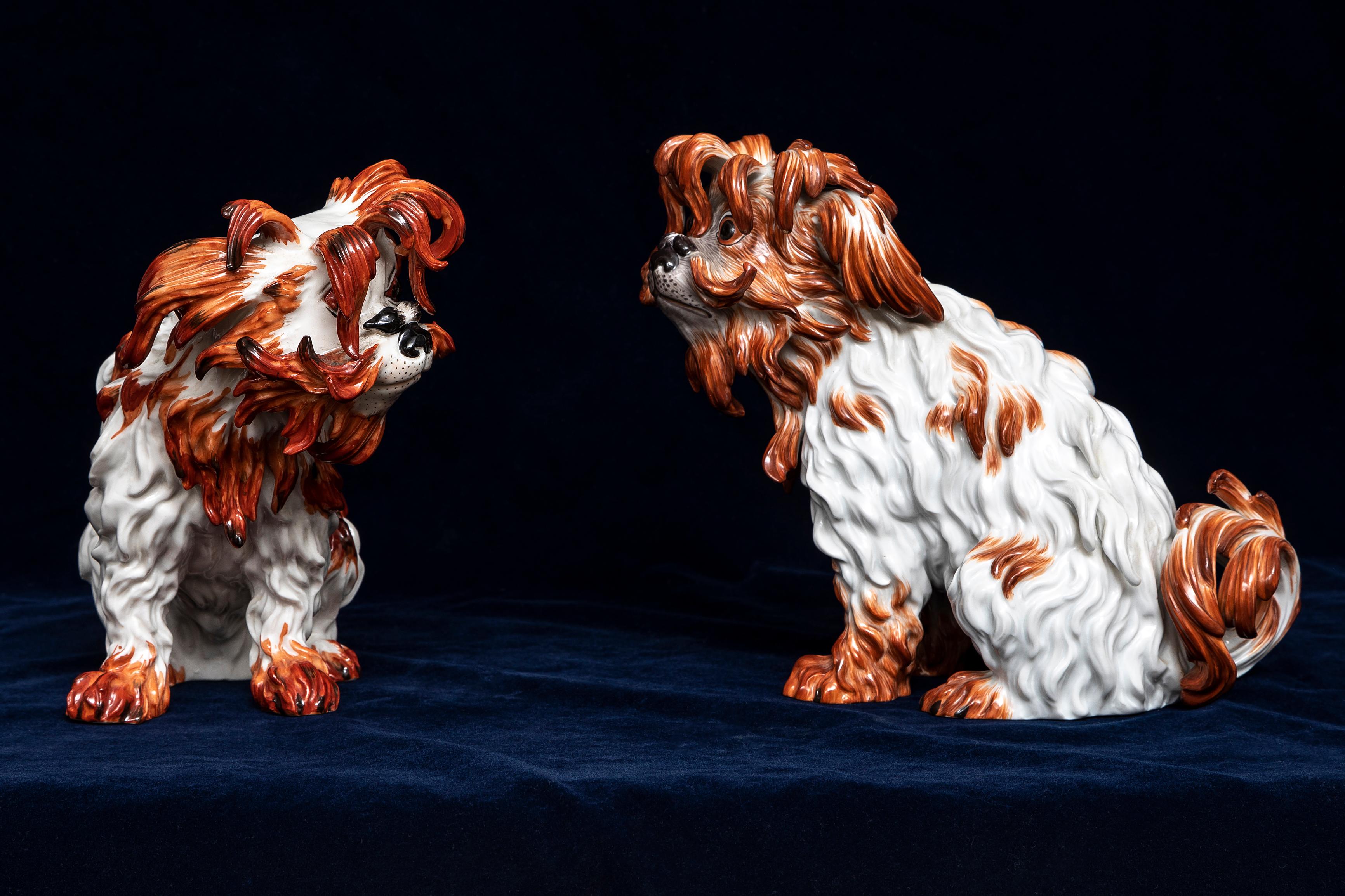 Ein Paar Meissen Porcelain Modelle von Bologneser Hunden aus dem 19. Jahrhundert, J.J. Kandler (Handgeschnitzt) im Angebot