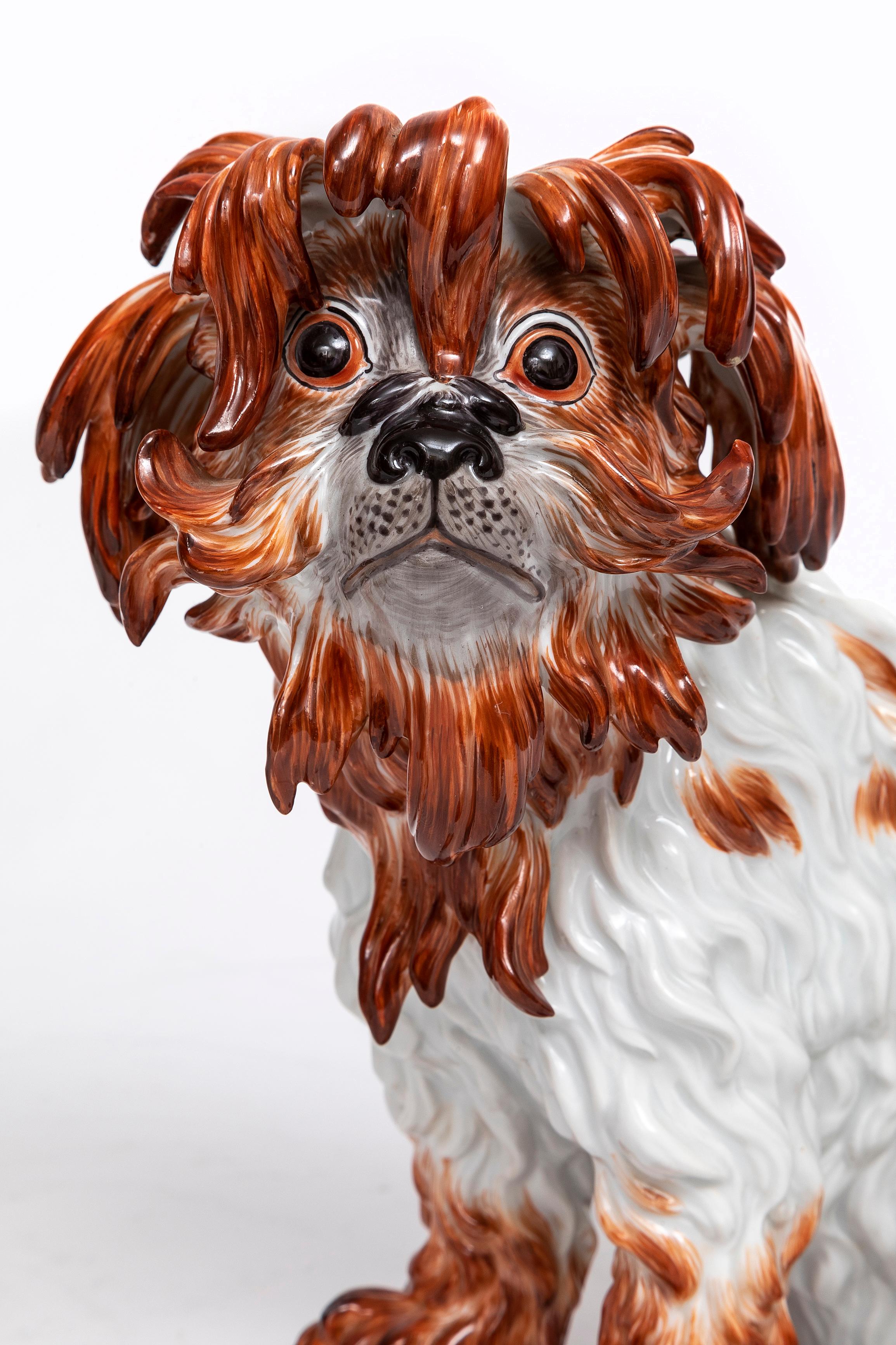 Ein Paar Meissen Porcelain Modelle von Bologneser Hunden aus dem 19. Jahrhundert, J.J. Kandler (Spätes 19. Jahrhundert) im Angebot