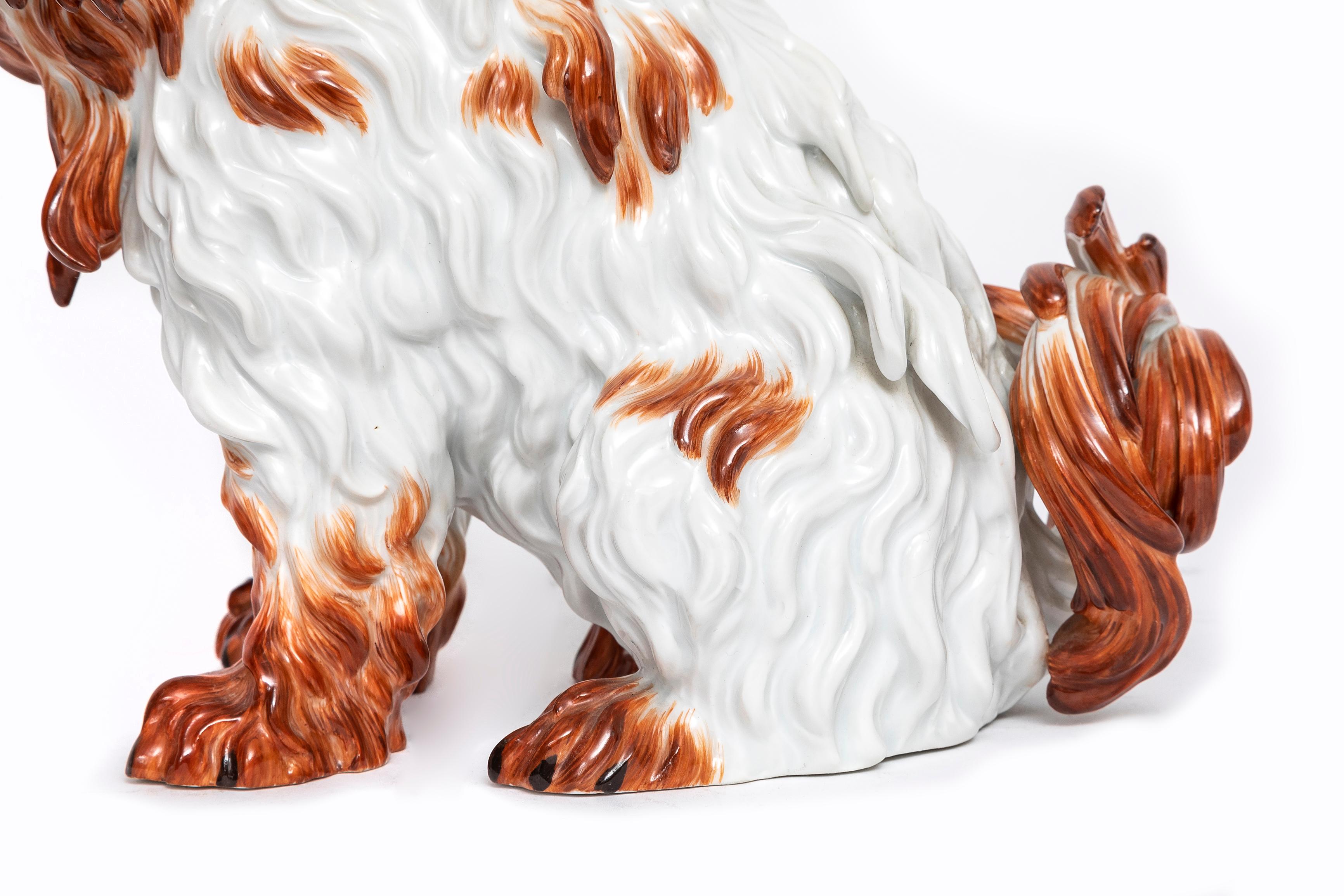 Ein Paar Meissen Porcelain Modelle von Bologneser Hunden aus dem 19. Jahrhundert, J.J. Kandler im Angebot 1