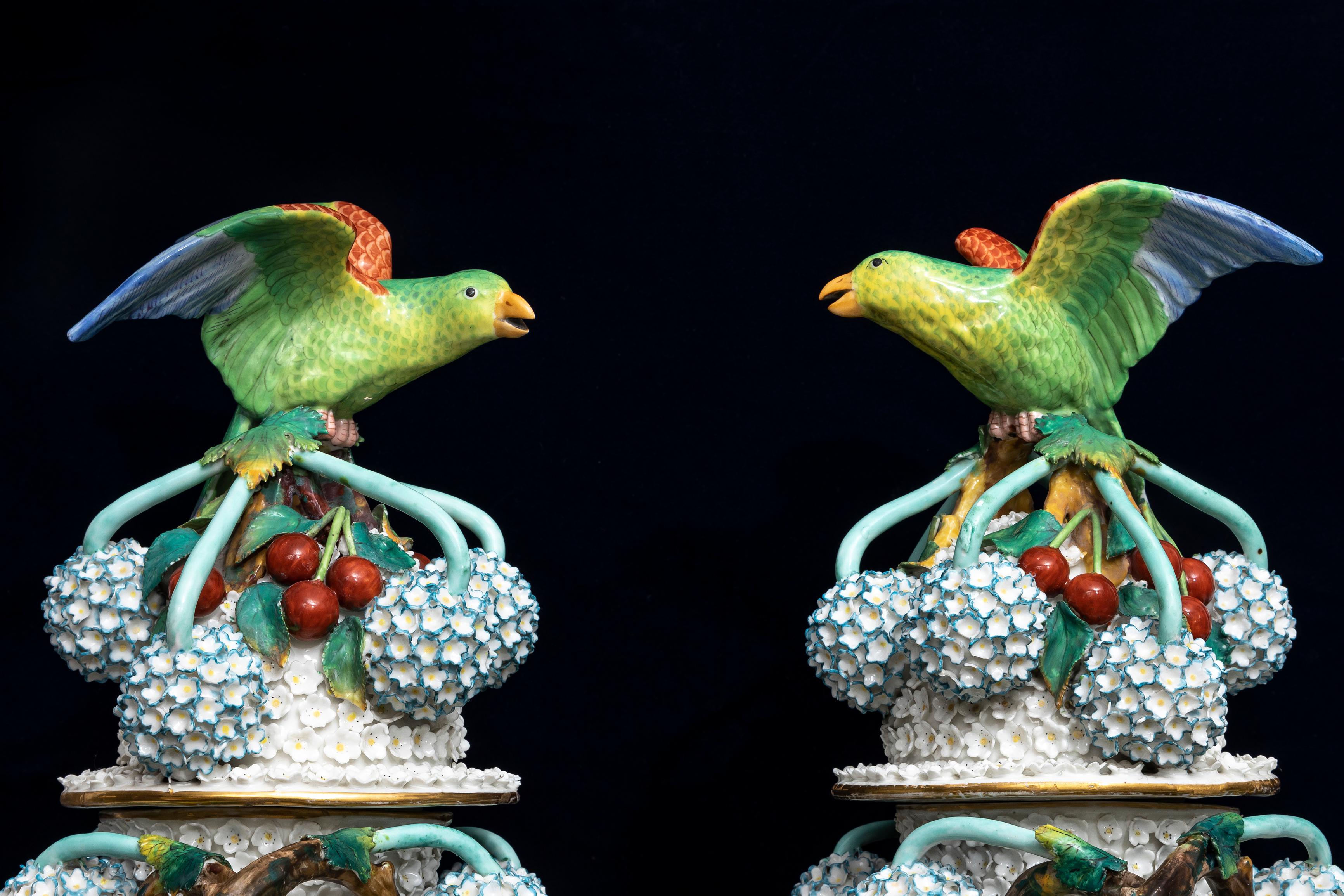 A Pair of 19th Century Meissen Porcelain Scheenballen Parrot Covered Vases 8