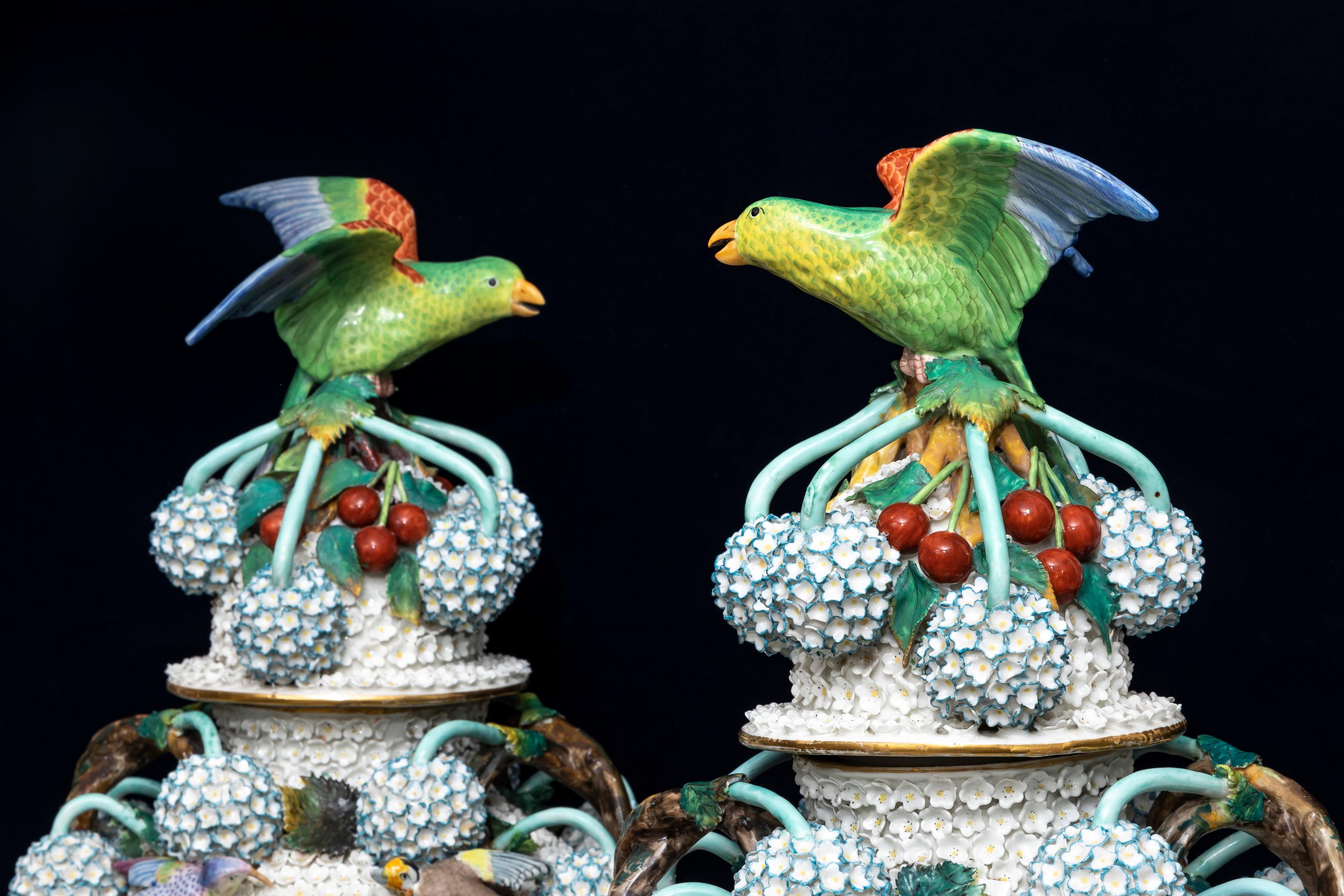 A Pair of 19th Century Meissen Porcelain Scheenballen Parrot Covered Vases 9
