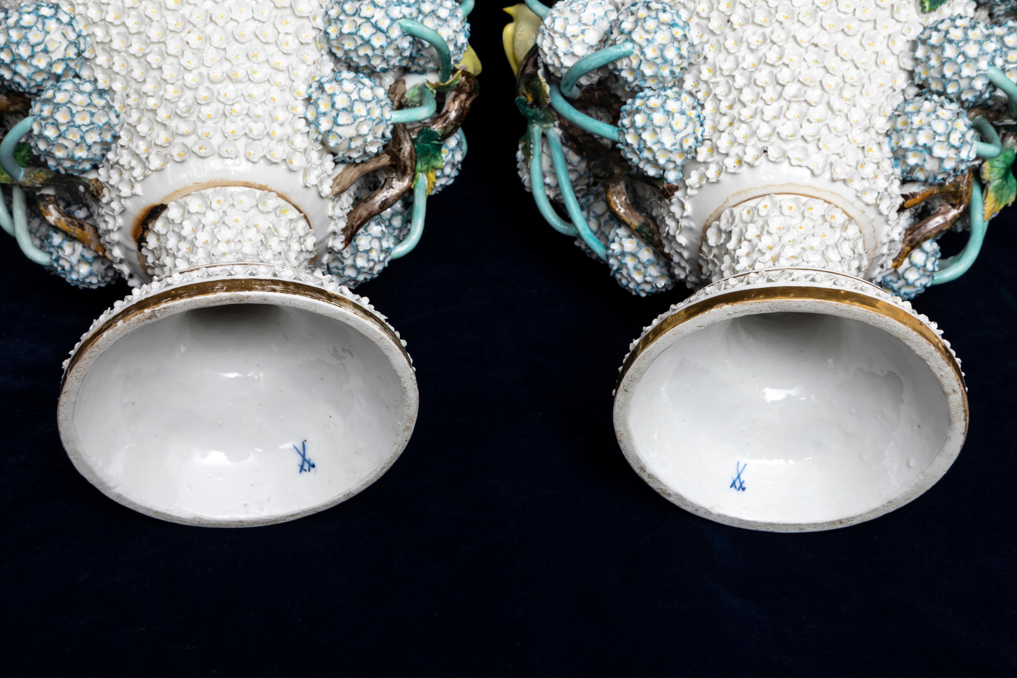 A Pair of 19th Century Meissen Porcelain Scheenballen Parrot Covered Vases 10