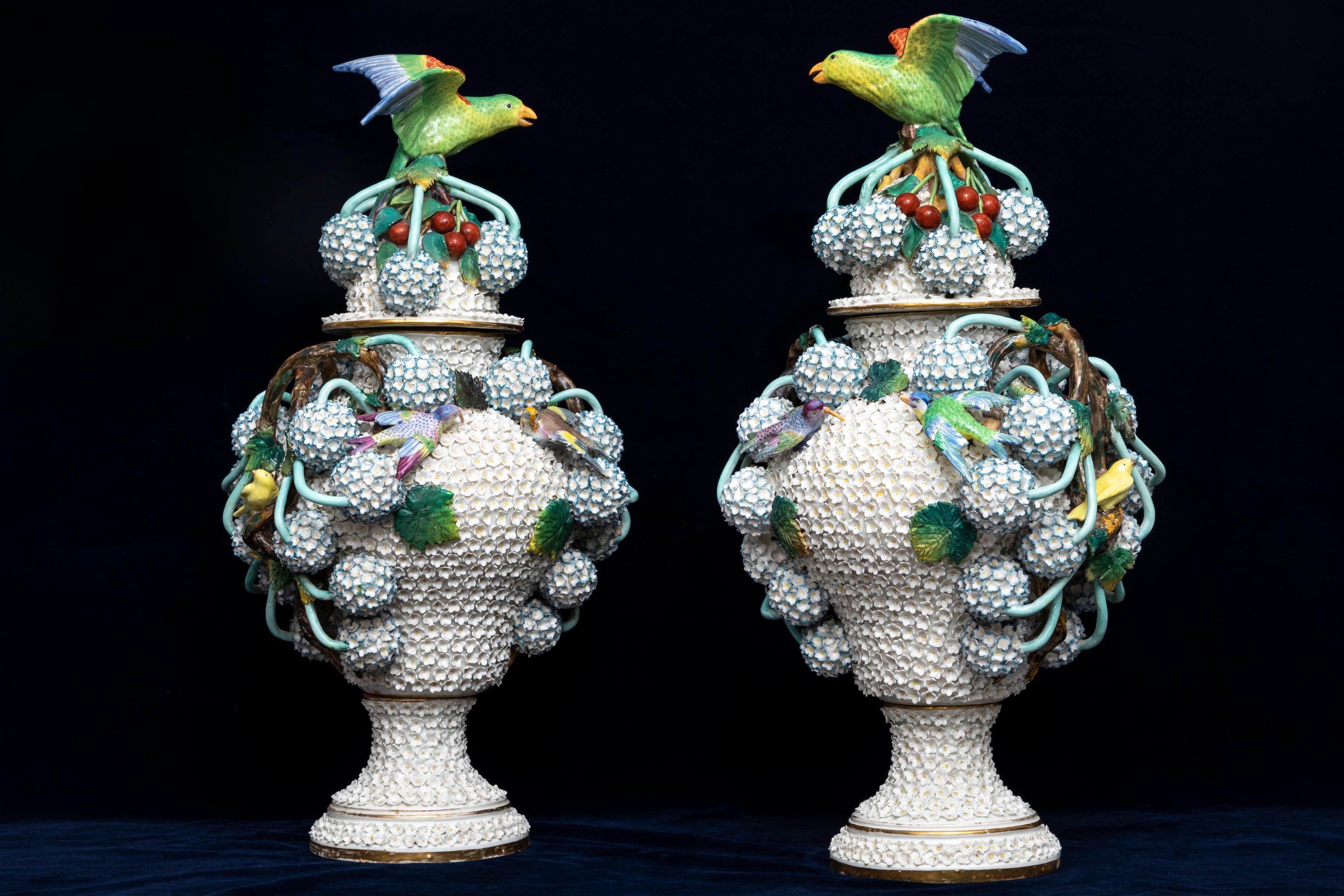 Rococo A Pair of 19th Century Meissen Porcelain Scheenballen Parrot Covered Vases