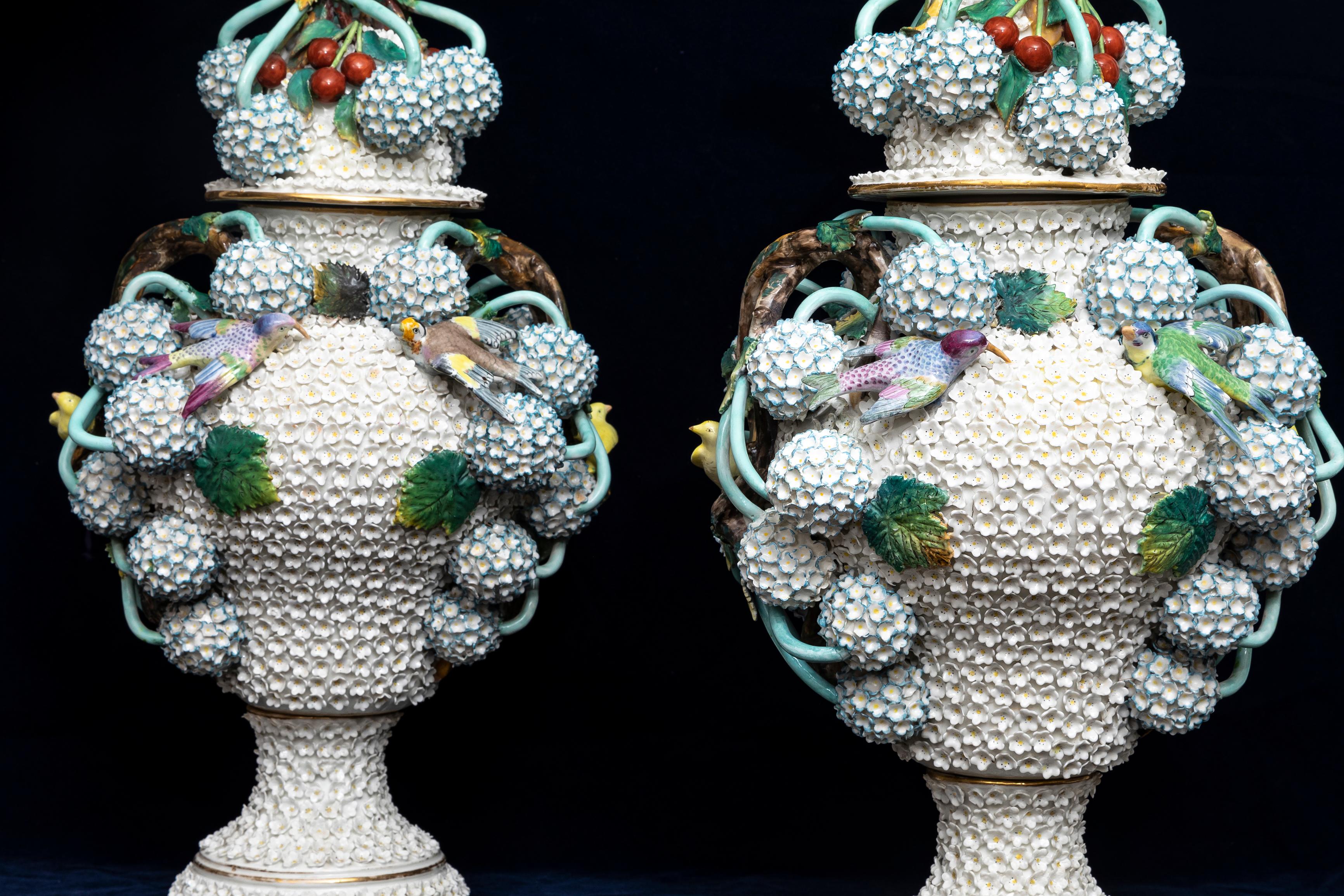 A Pair of 19th Century Meissen Porcelain Scheenballen Parrot Covered Vases 1