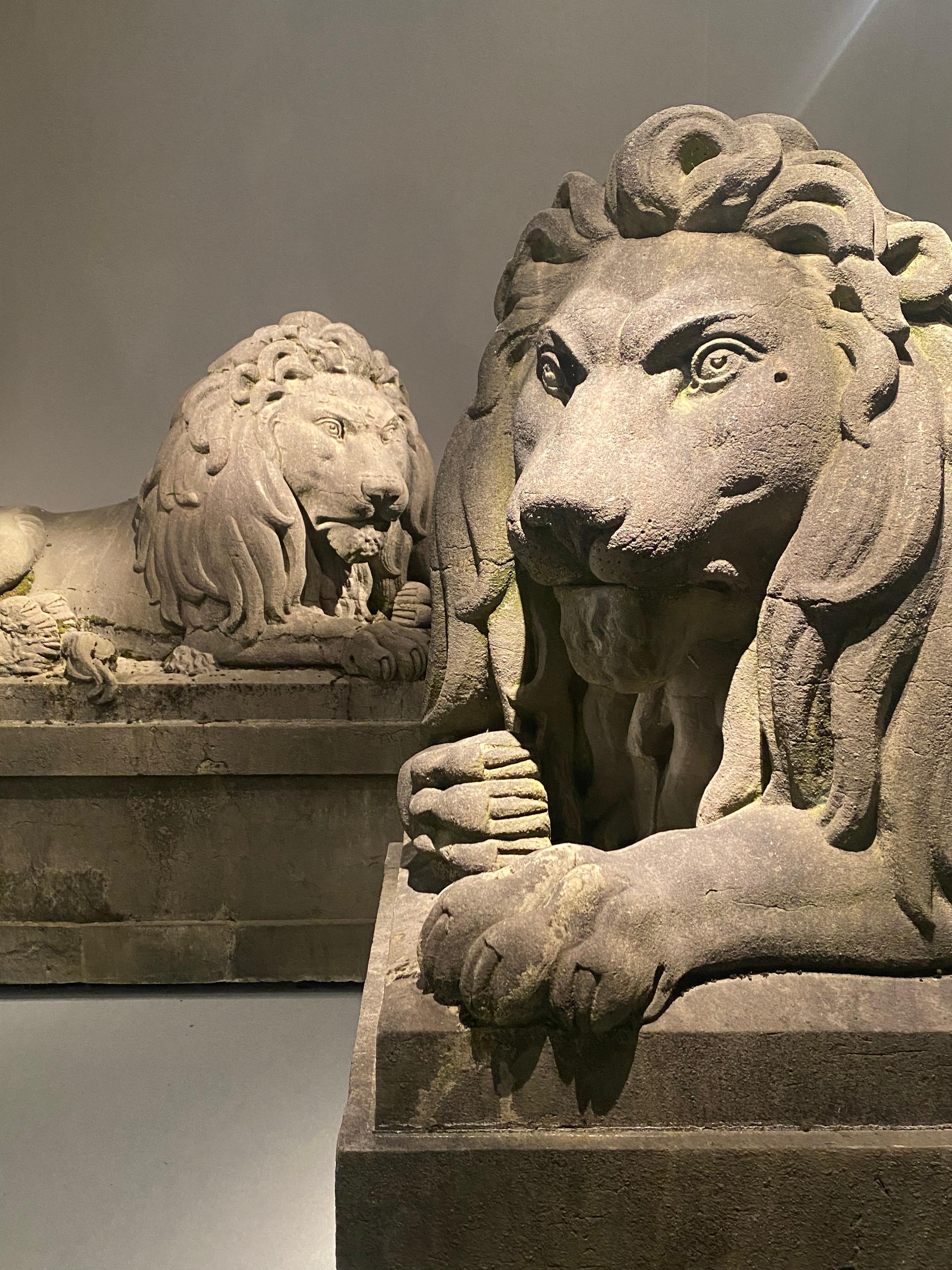 A pair of 19th century monumental carved stone lions.  Belgium around 1840 6