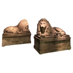 A pair of 19th century monumental carved stone lions.  Belgium around 1840