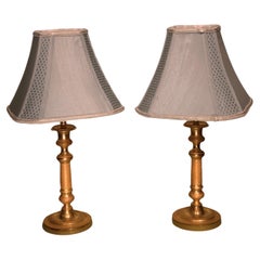 A pair of 19th century ormolu lamps