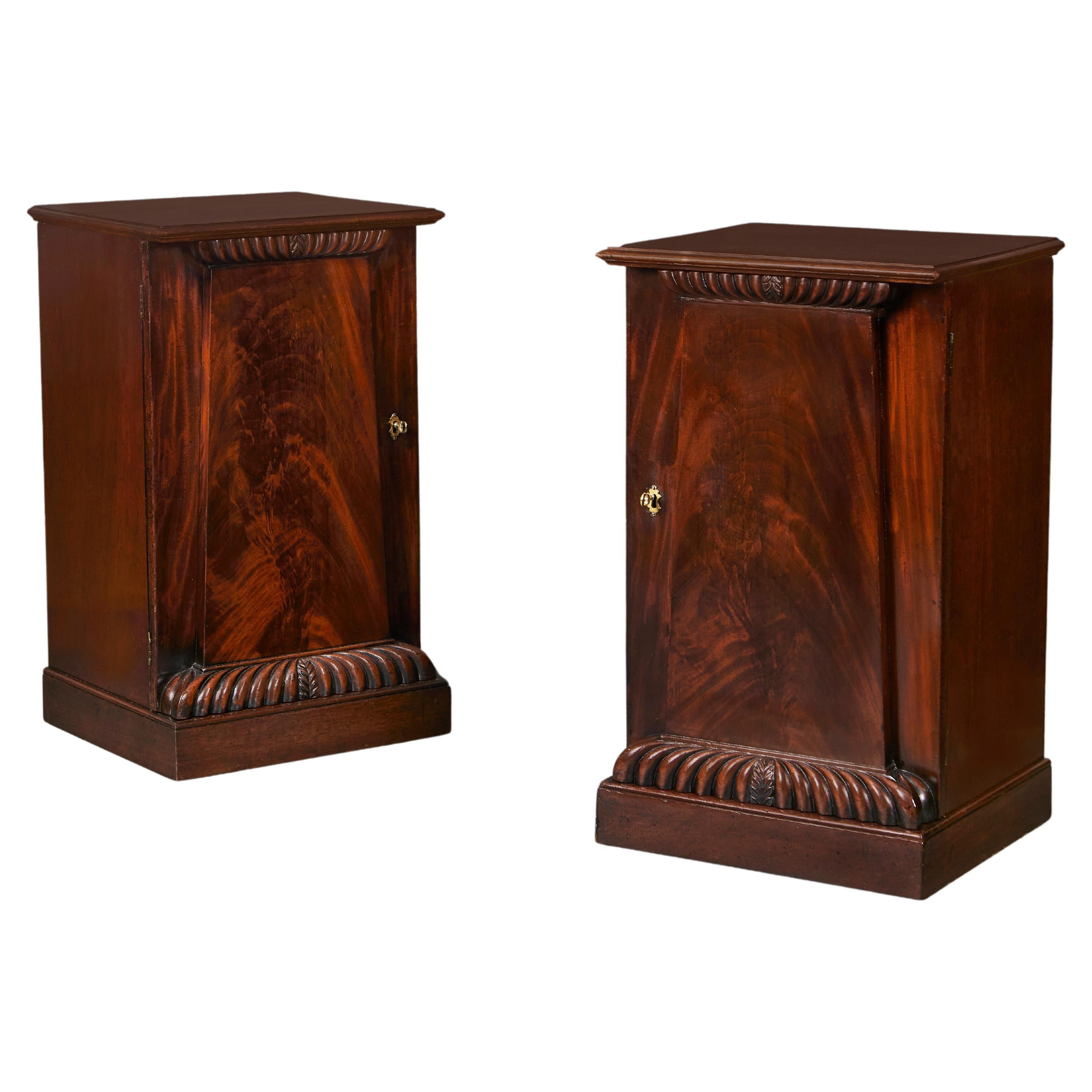 A Pair of 19th Century Pedestal Bedside Cabinets  For Sale