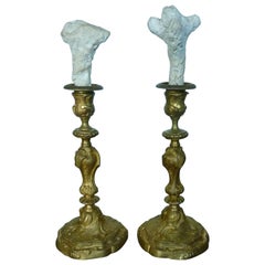  A Pair of 19th Century Rococo Style Bronze Fire-Gilded Candlesticks
