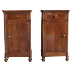 Pair of 19th Century Side Commodes