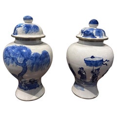 Pair of 19th Century White and Blue Porcelain Chinese Ginger Jars