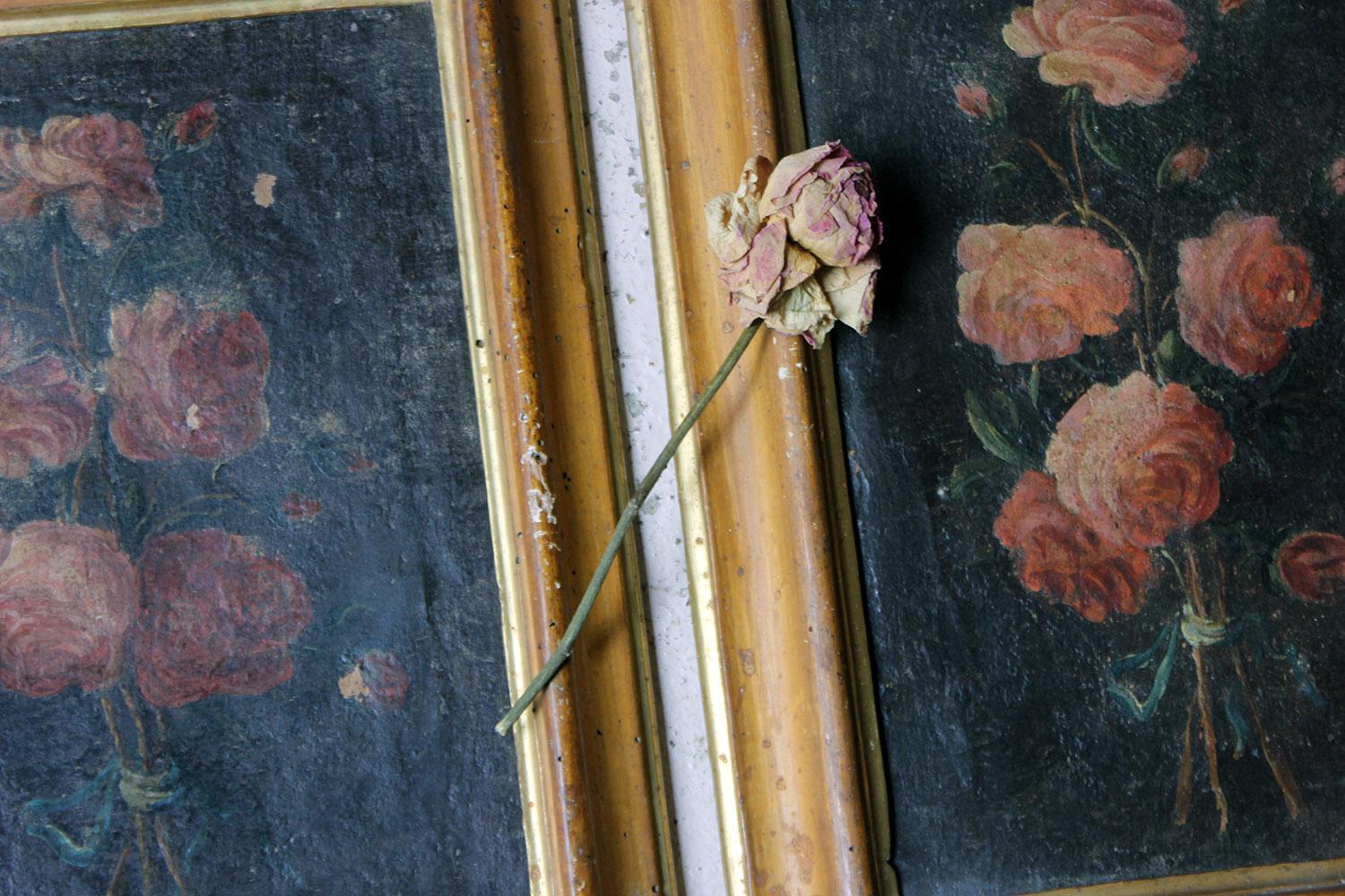 Pair of 19th Century Italian School Oil & Tempura on Canvas Studies of Roses In Fair Condition In Bedford, Bedfordshire