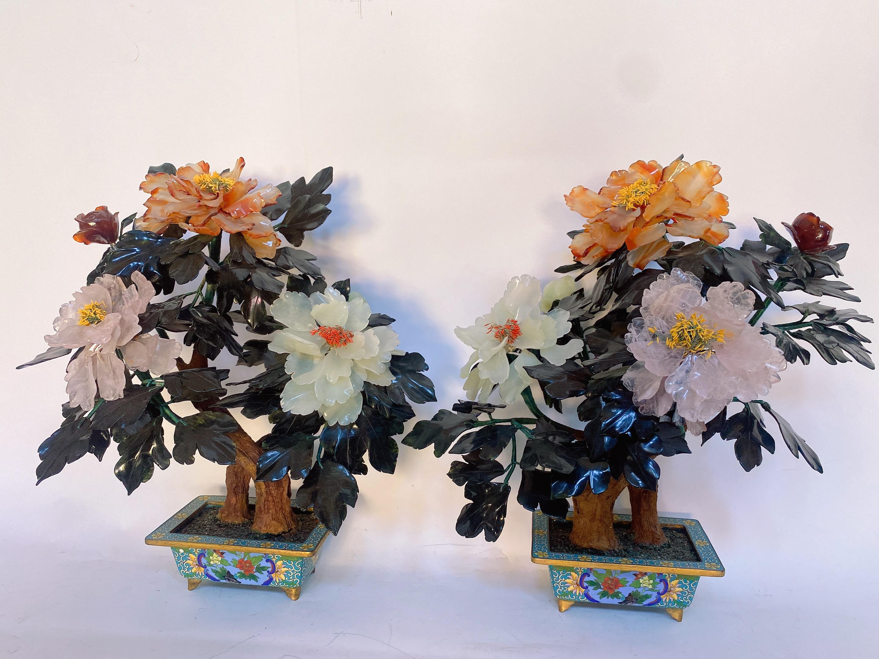 Multicolor Bonsai Tree Pair 