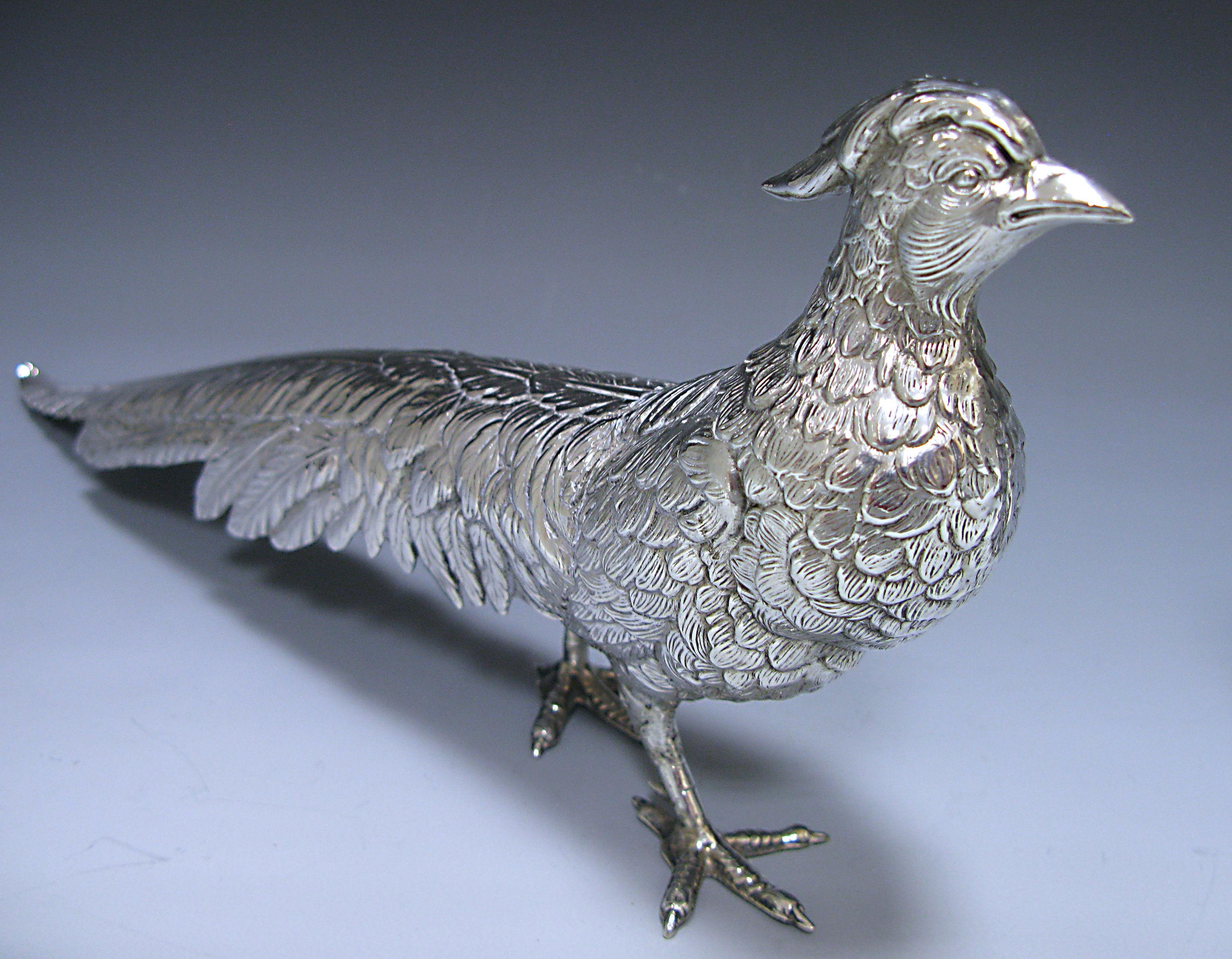 silver pheasant pair