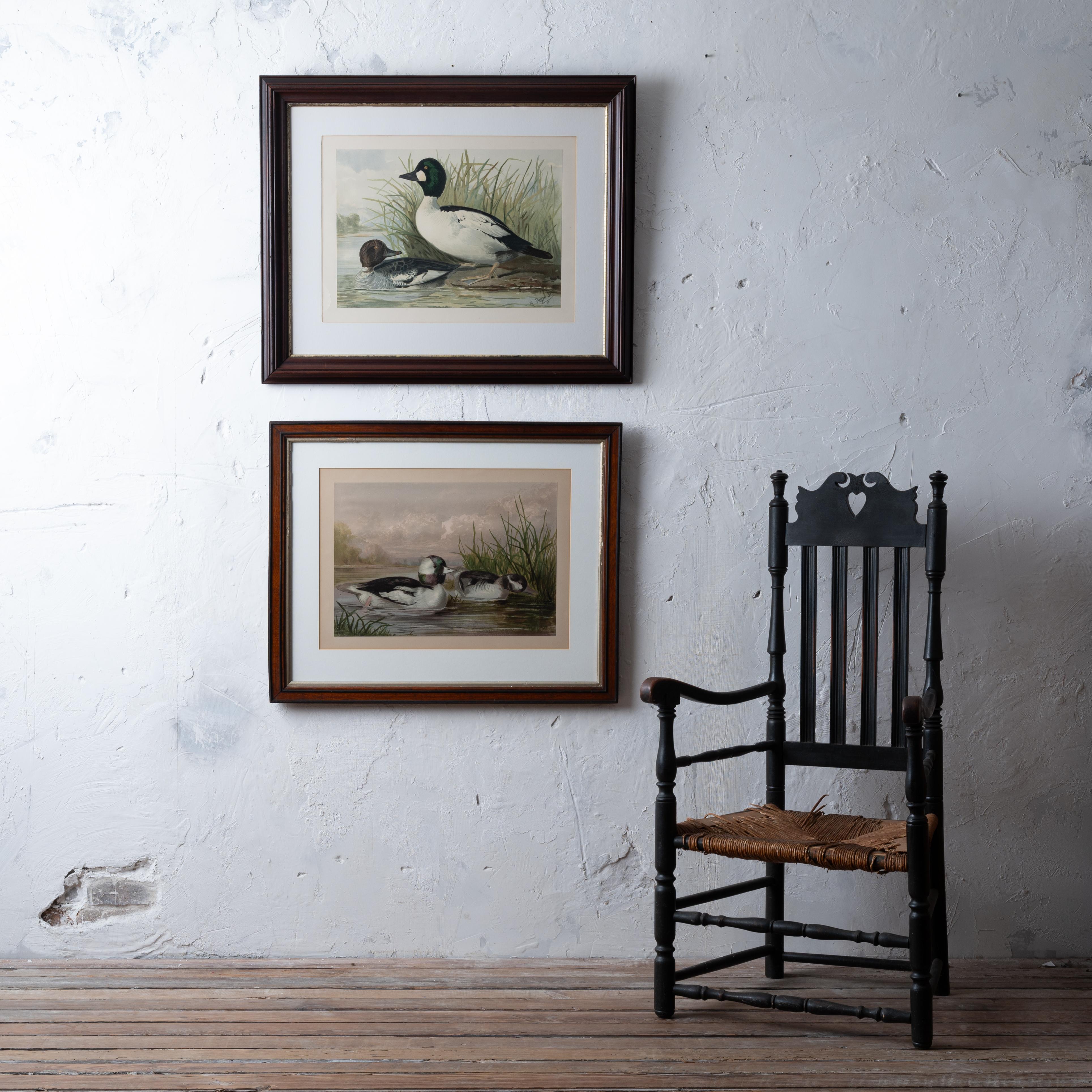 Autre Paire d'Alexander Pope Jr. Chromolithographies de canard, 1878 en vente