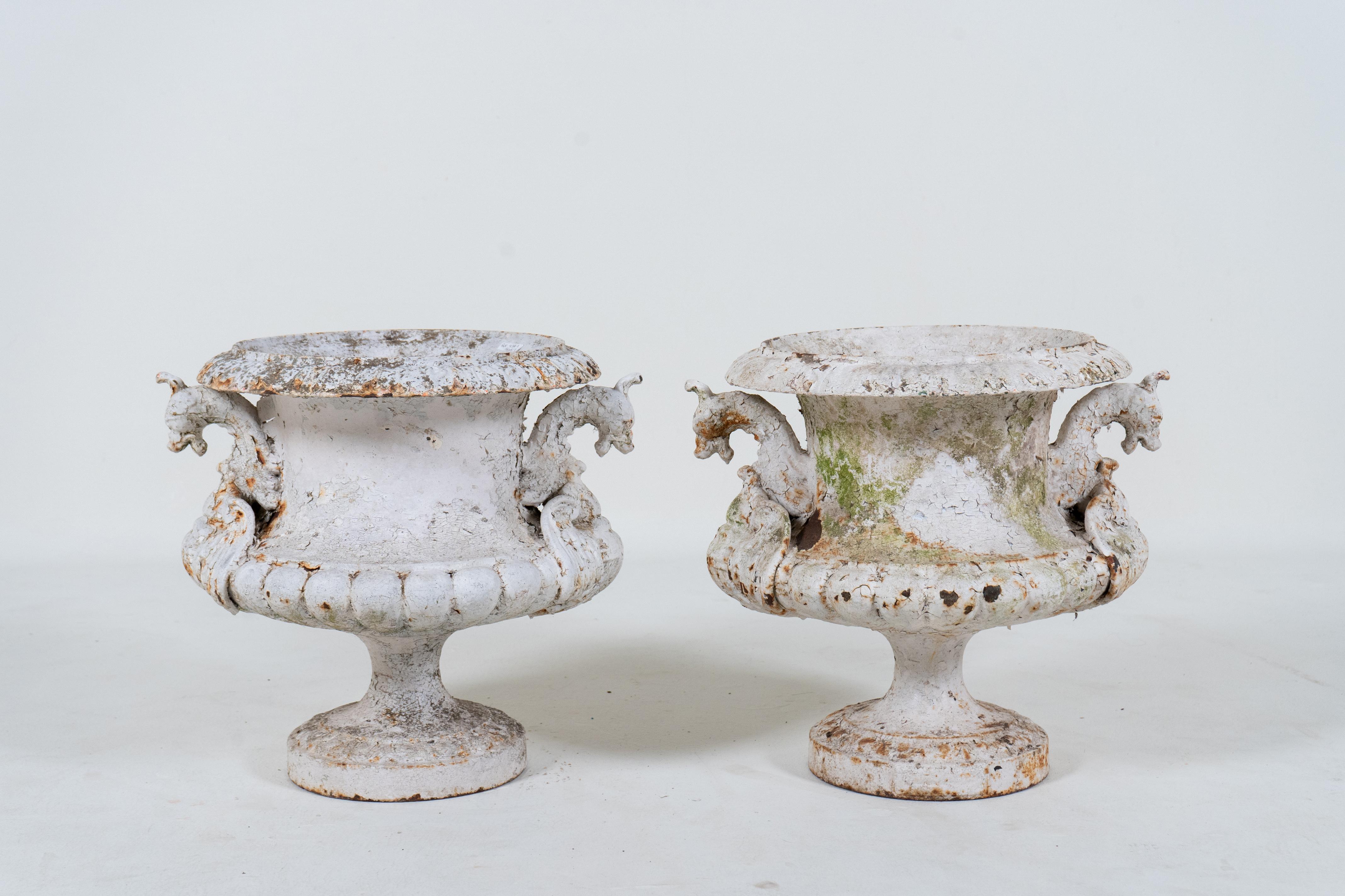 A pair of 19th century French cast iron Garden urns made by Alfred Corneau at his Charleville foundry. The iron garden urns are adorned with well-detailed griffin handles, lobed bowls and a stepped base. They are quite heavy and covered in layers of