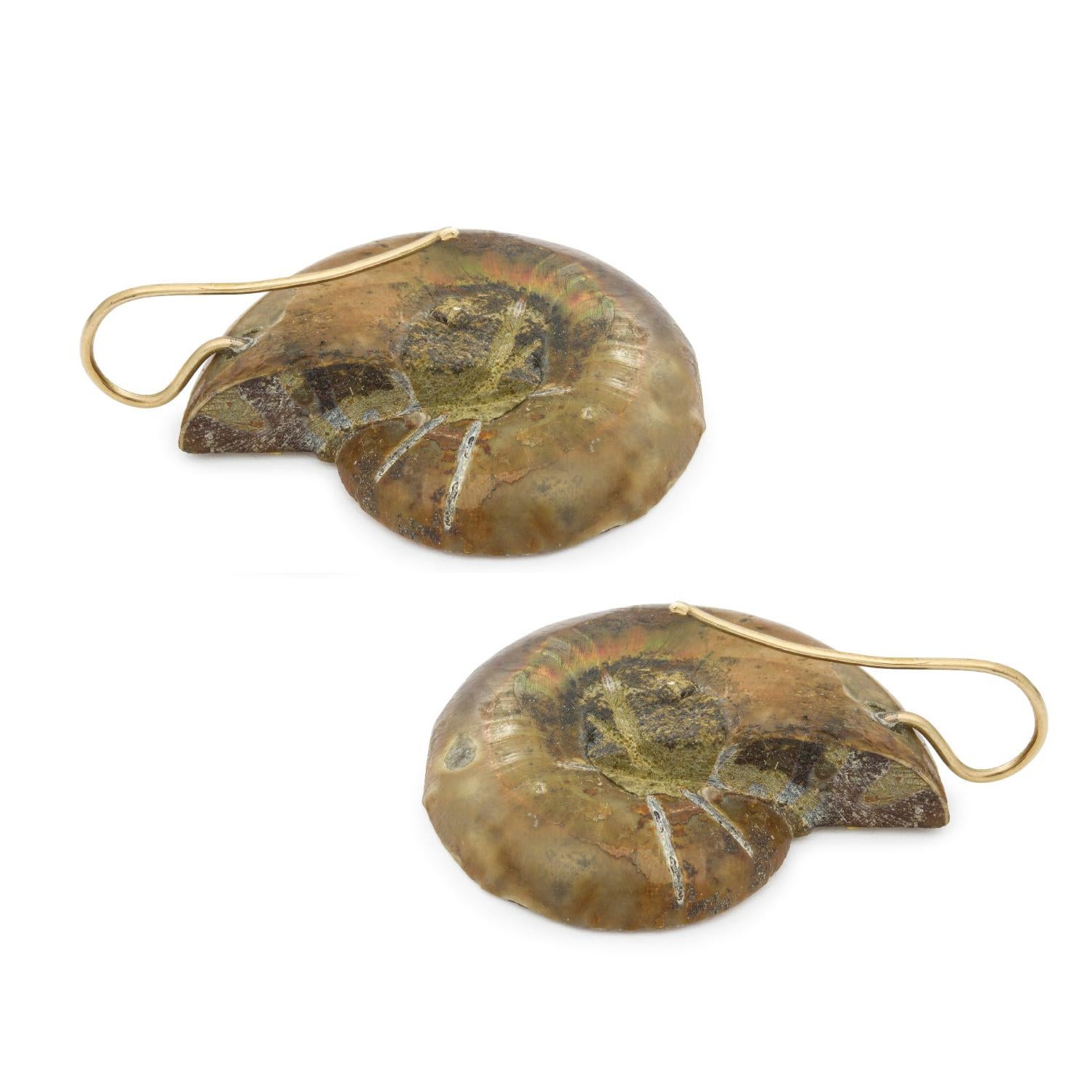 A pair of ammonite earrings, the brown polished spiral chambers forming a shell shape, the top set with a yellow metal flower with an old-cut diamond centre, to hook fittings, circa 1920, measuring 3cm x 2.5cm, gross weight 16.5grams.

A Pair Of