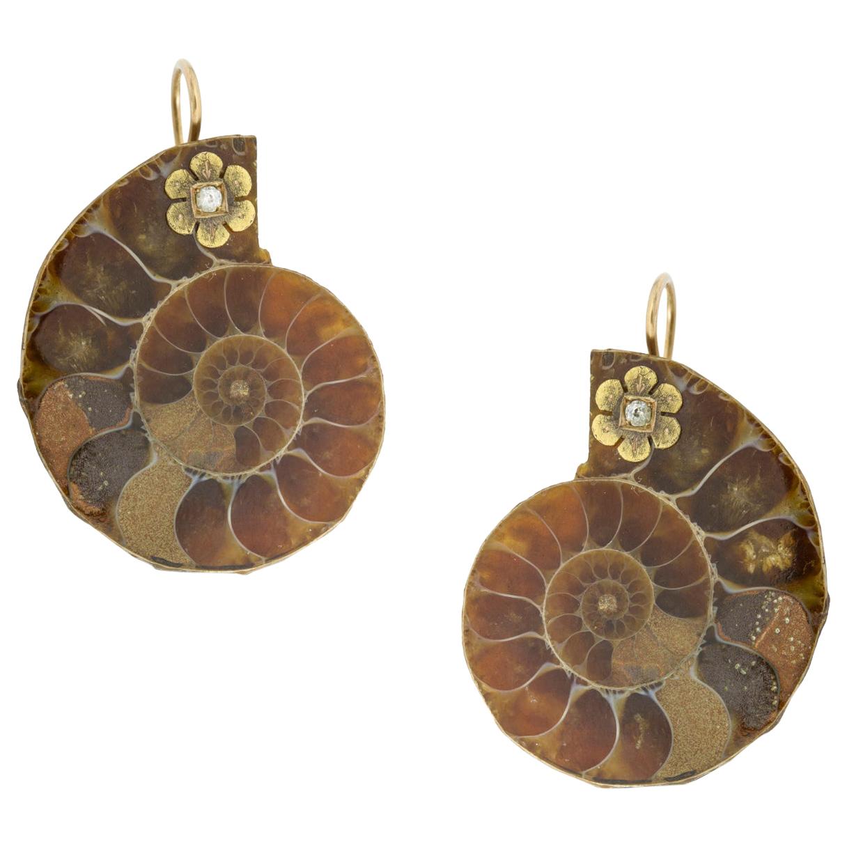 A Pair of Ammonite Earrings