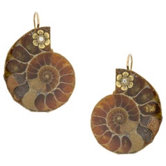 A Pair of Ammonite Earrings