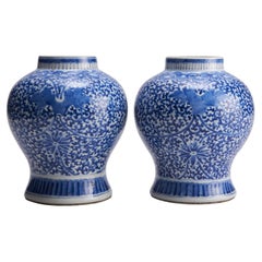 A pair of Antique 19th Century Chinese blue and white porcelain jars with Clemat