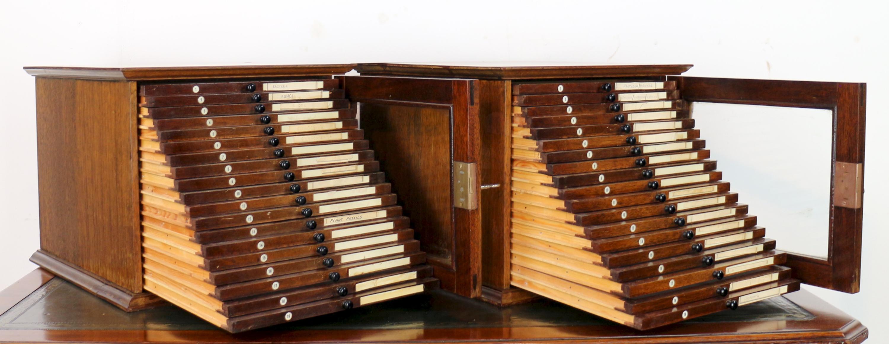 A Pair of Antique English Walnut Tabletop Microscope Slide Collectors Cabinets For Sale 4