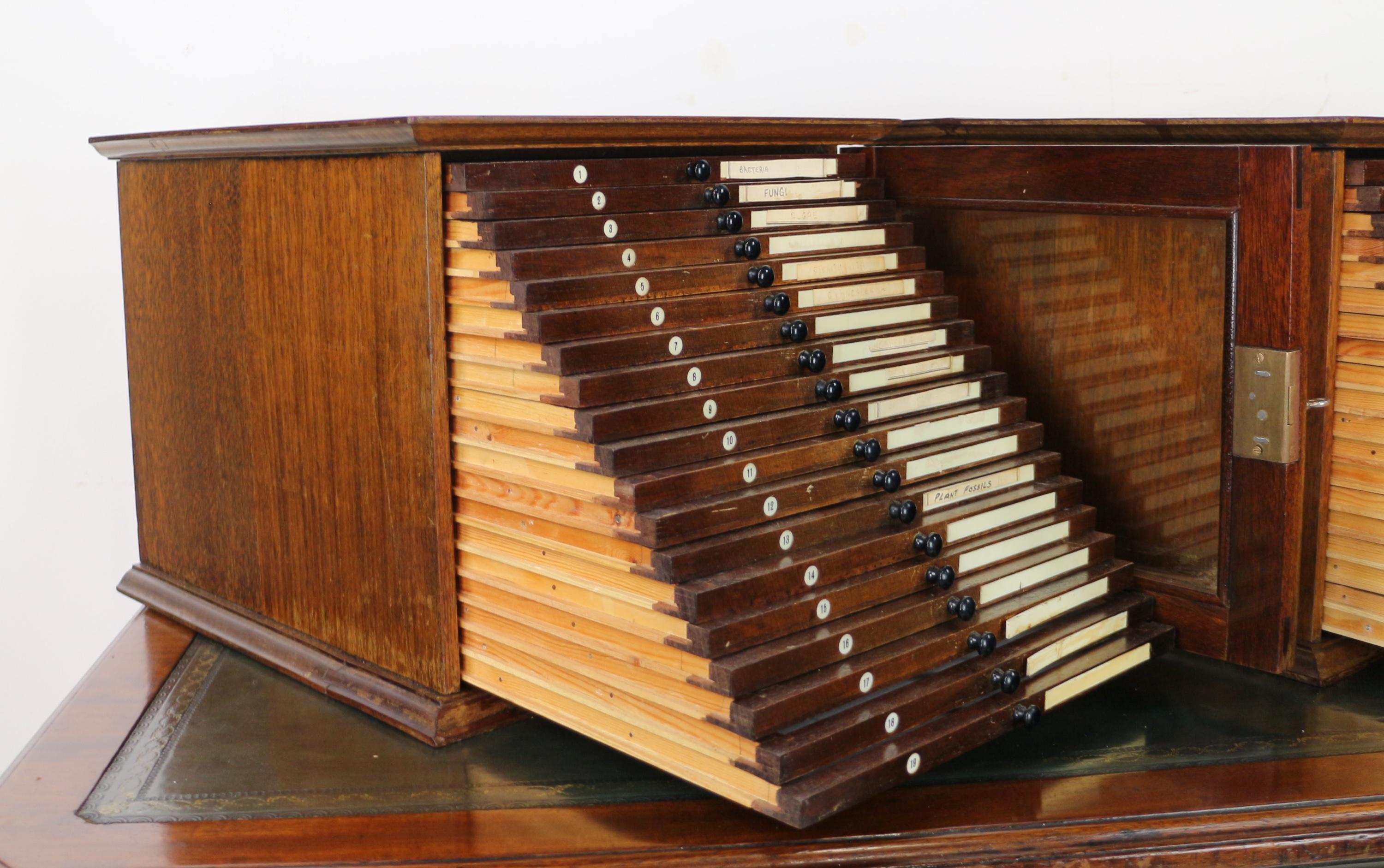 A Pair of Antique English Walnut Tabletop Microscope Slide Collectors Cabinets For Sale 5