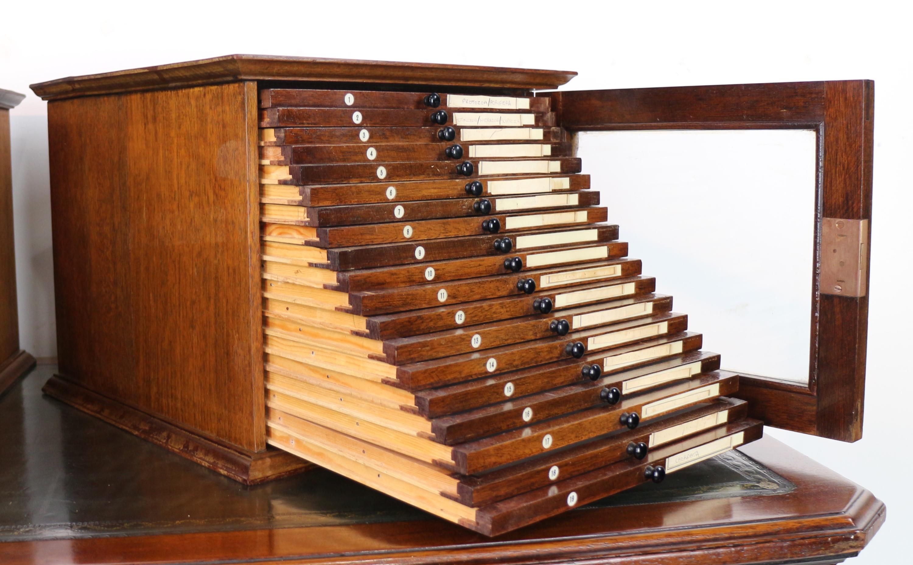 A Pair of Antique English Walnut Tabletop Microscope Slide Collectors Cabinets For Sale 6