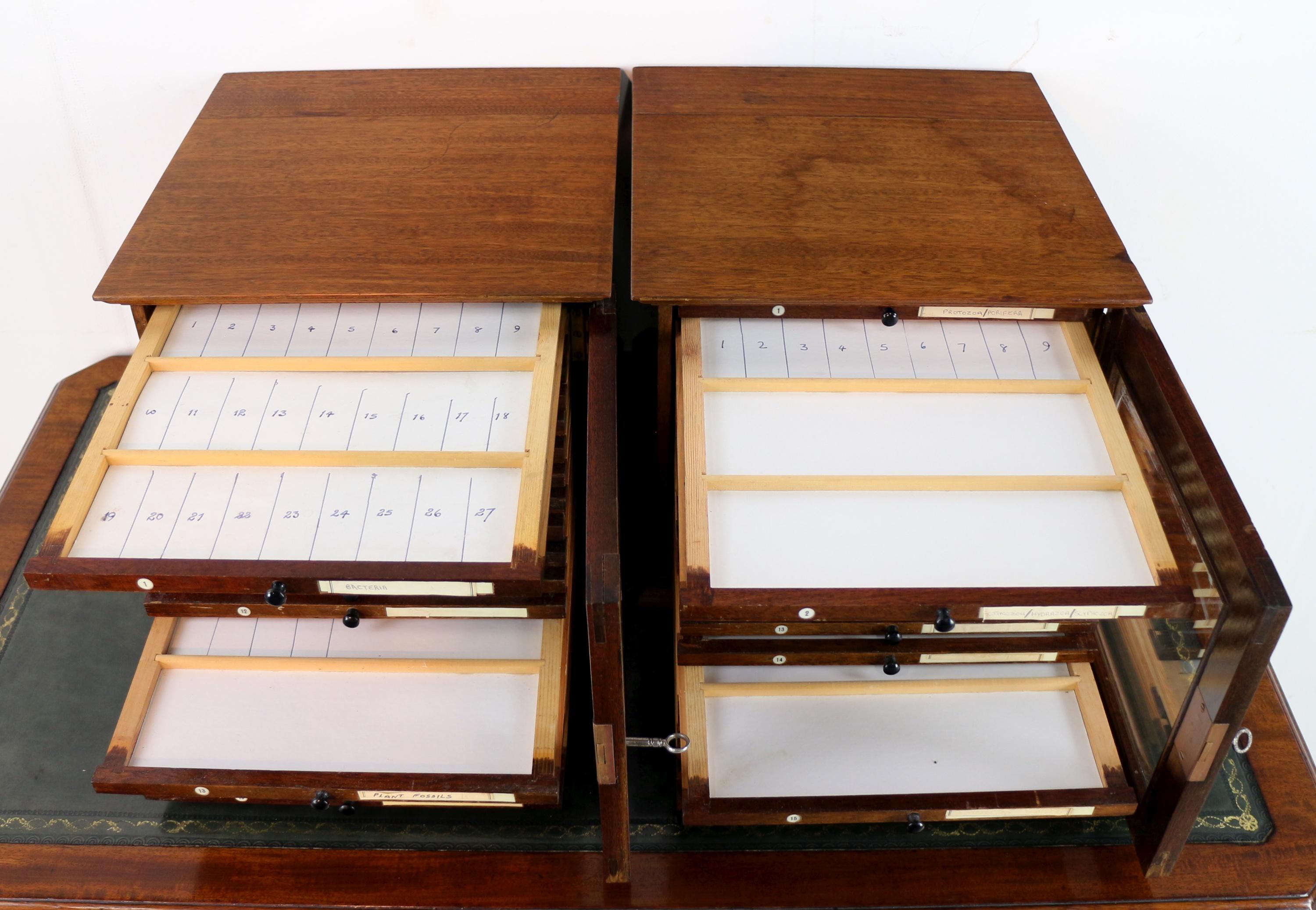A Pair of Antique English Walnut Tabletop Microscope Slide Collectors Cabinets For Sale 7