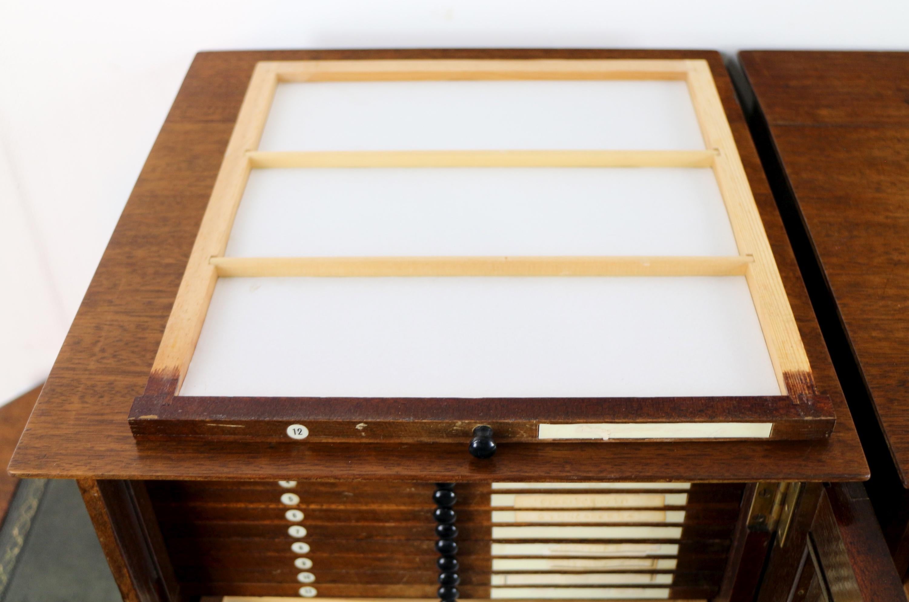A Pair of Antique English Walnut Tabletop Microscope Slide Collectors Cabinets For Sale 8