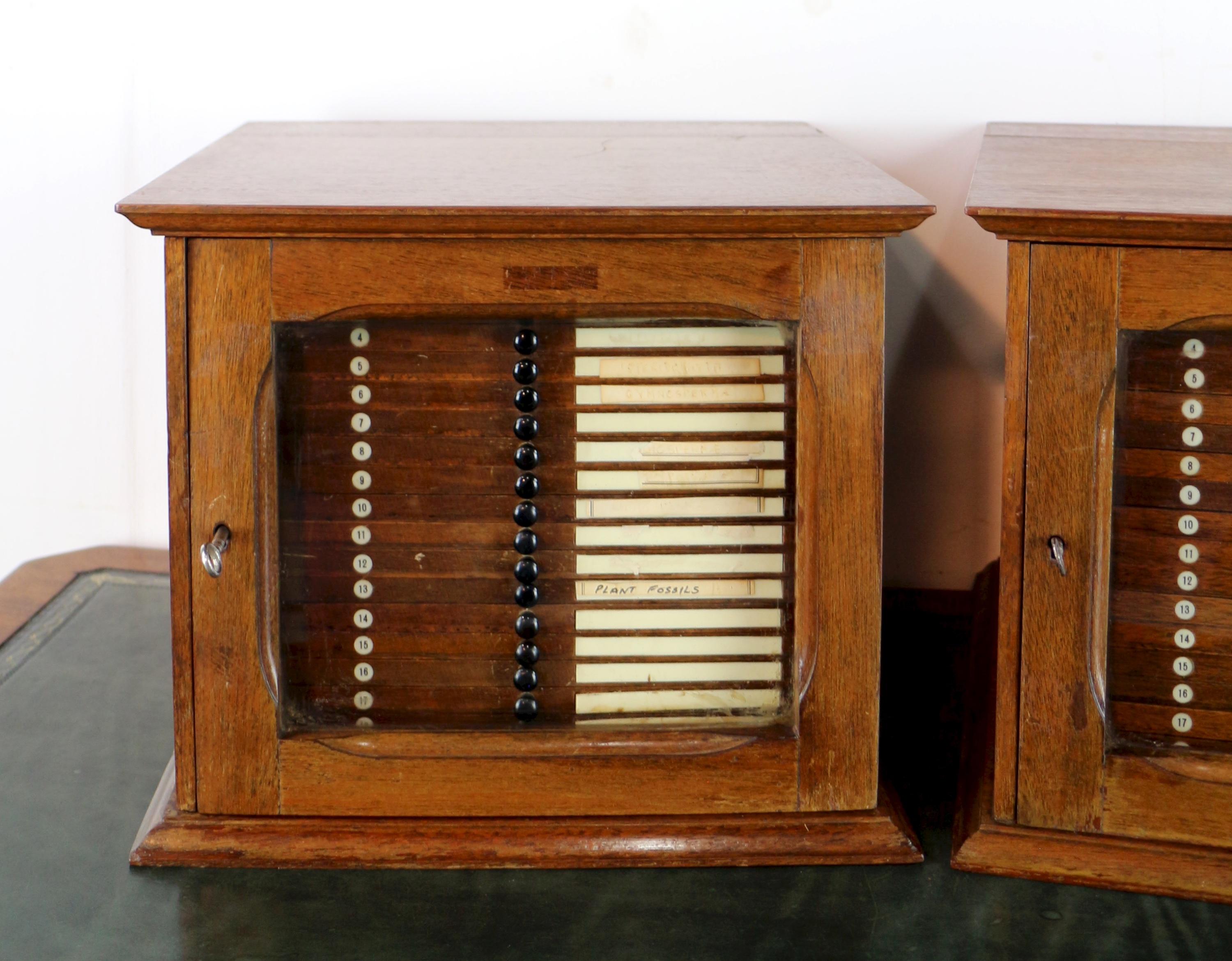 British A Pair of Antique English Walnut Tabletop Microscope Slide Collectors Cabinets For Sale