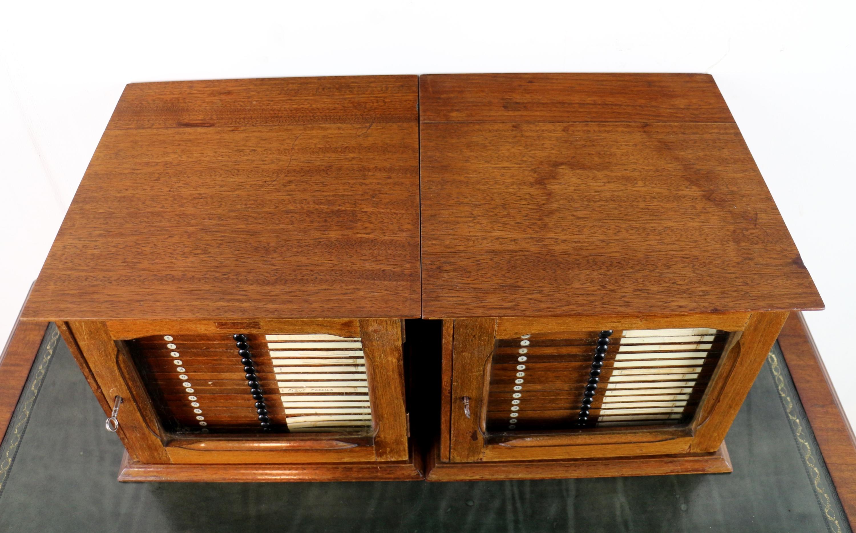 19th Century A Pair of Antique English Walnut Tabletop Microscope Slide Collectors Cabinets For Sale