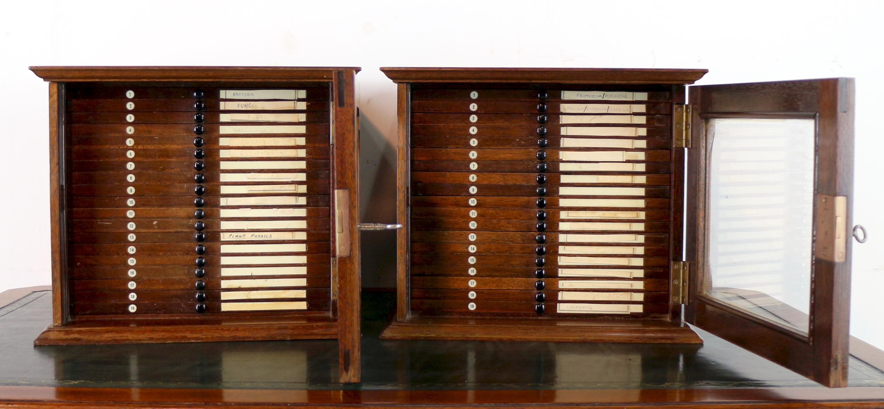 Brass A Pair of Antique English Walnut Tabletop Microscope Slide Collectors Cabinets For Sale