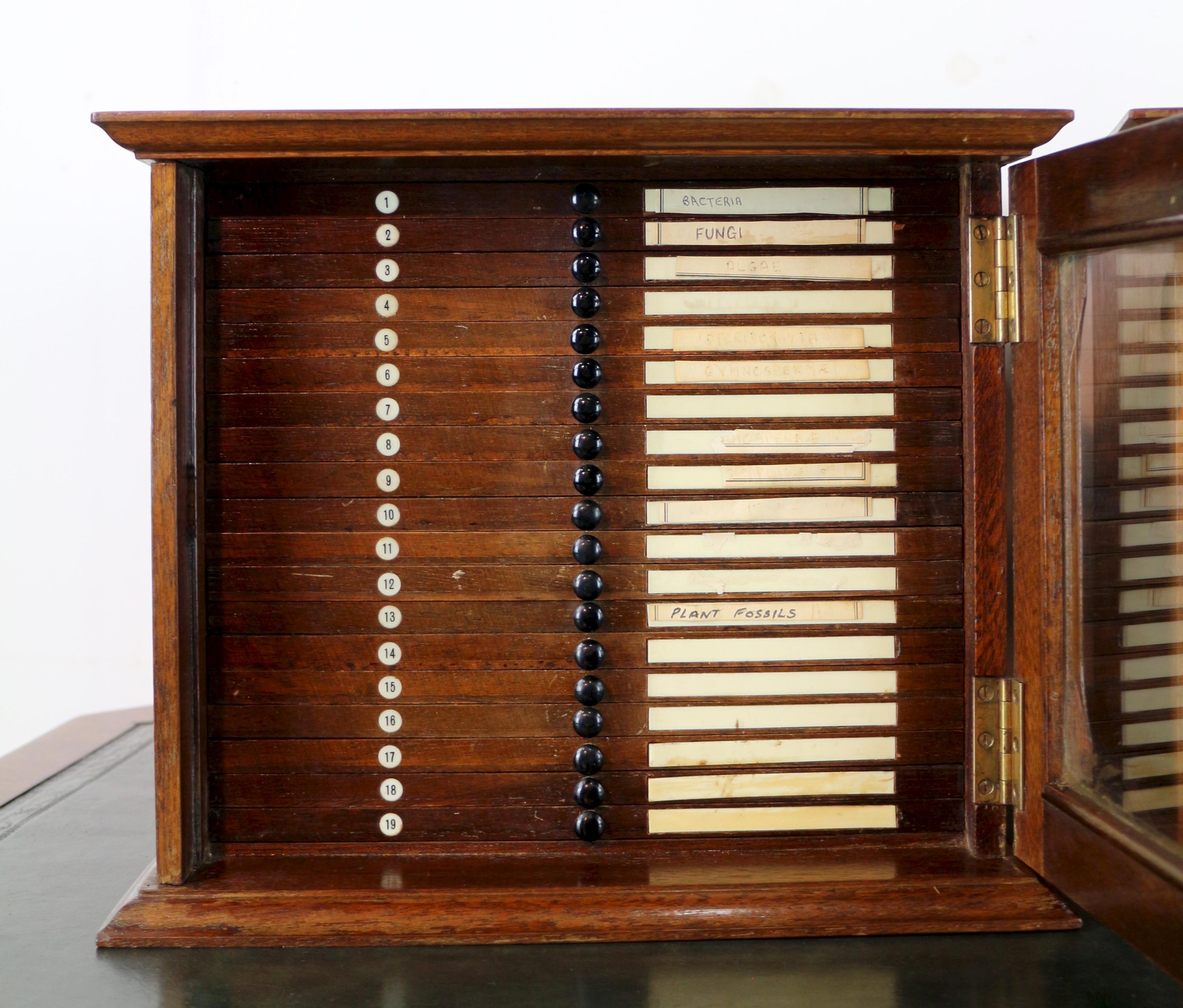 A Pair of Antique English Walnut Tabletop Microscope Slide Collectors Cabinets For Sale 1