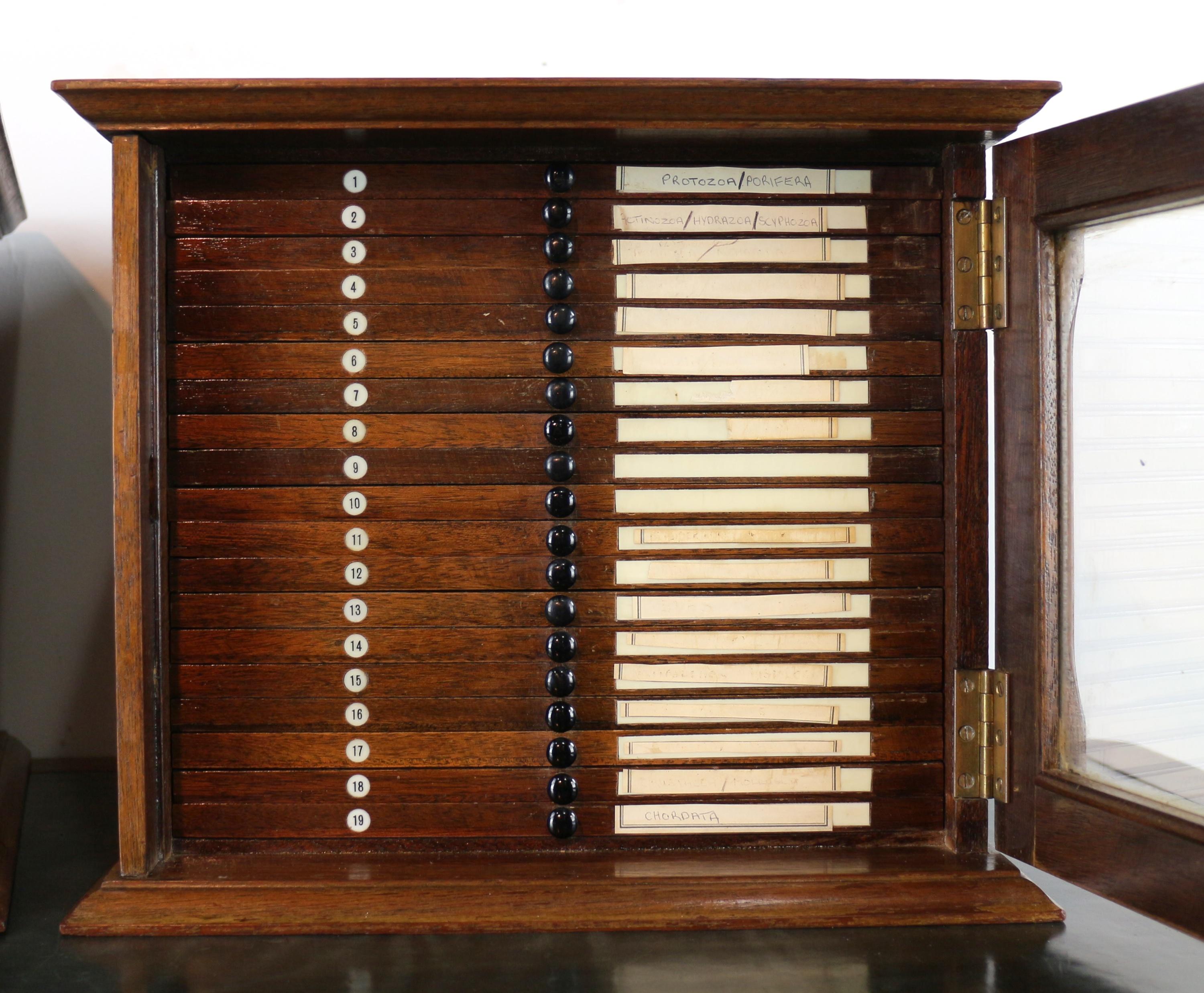 A Pair of Antique English Walnut Tabletop Microscope Slide Collectors Cabinets For Sale 2