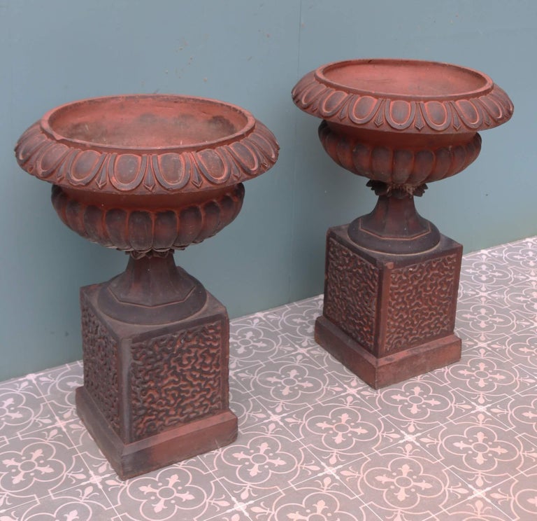 A Pair of Antique Garden Urn Planters in Terracotta For Sale at 1stDibs