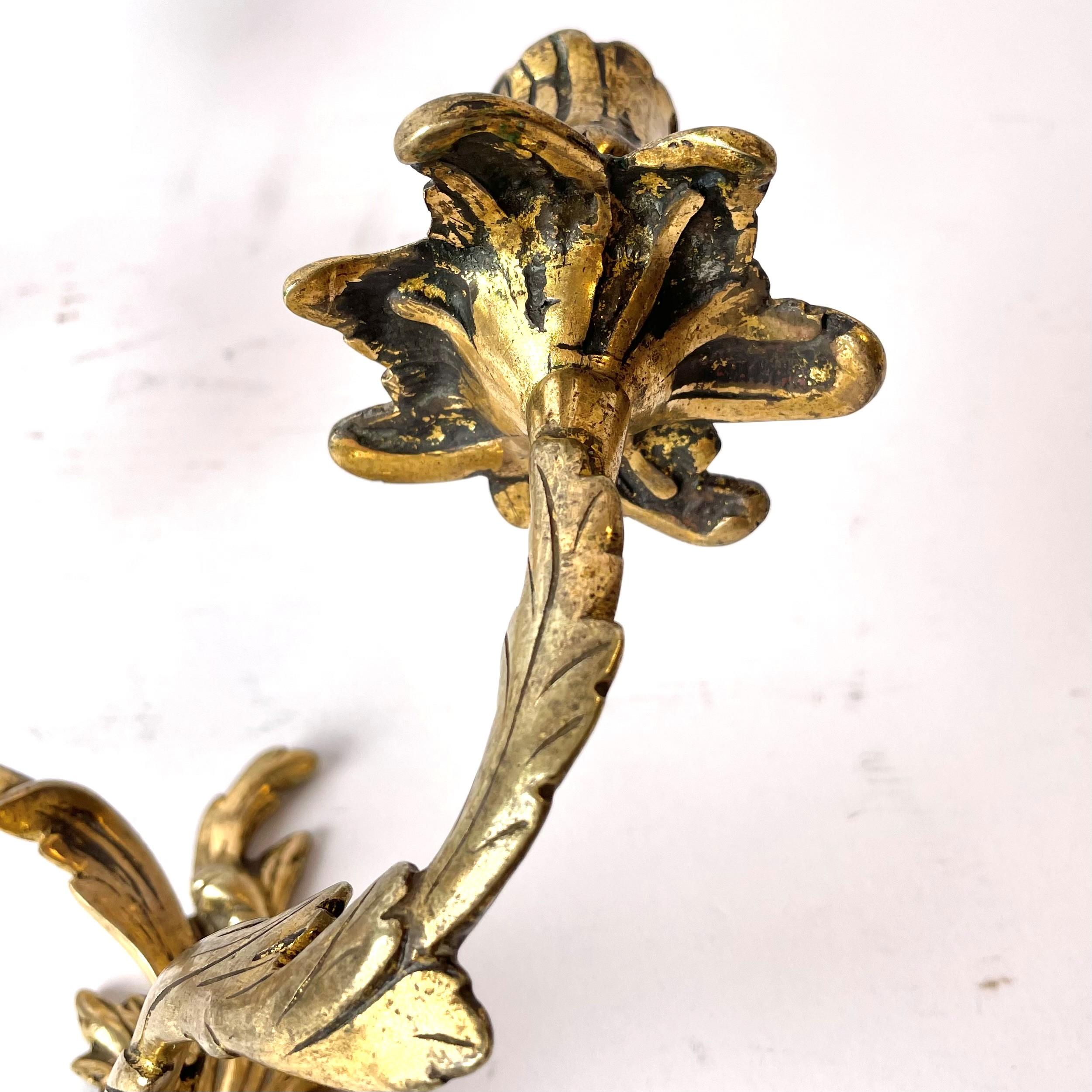 Pair of Appliques in Gilt Bronze, Rococo, Mid-18th Century For Sale 1