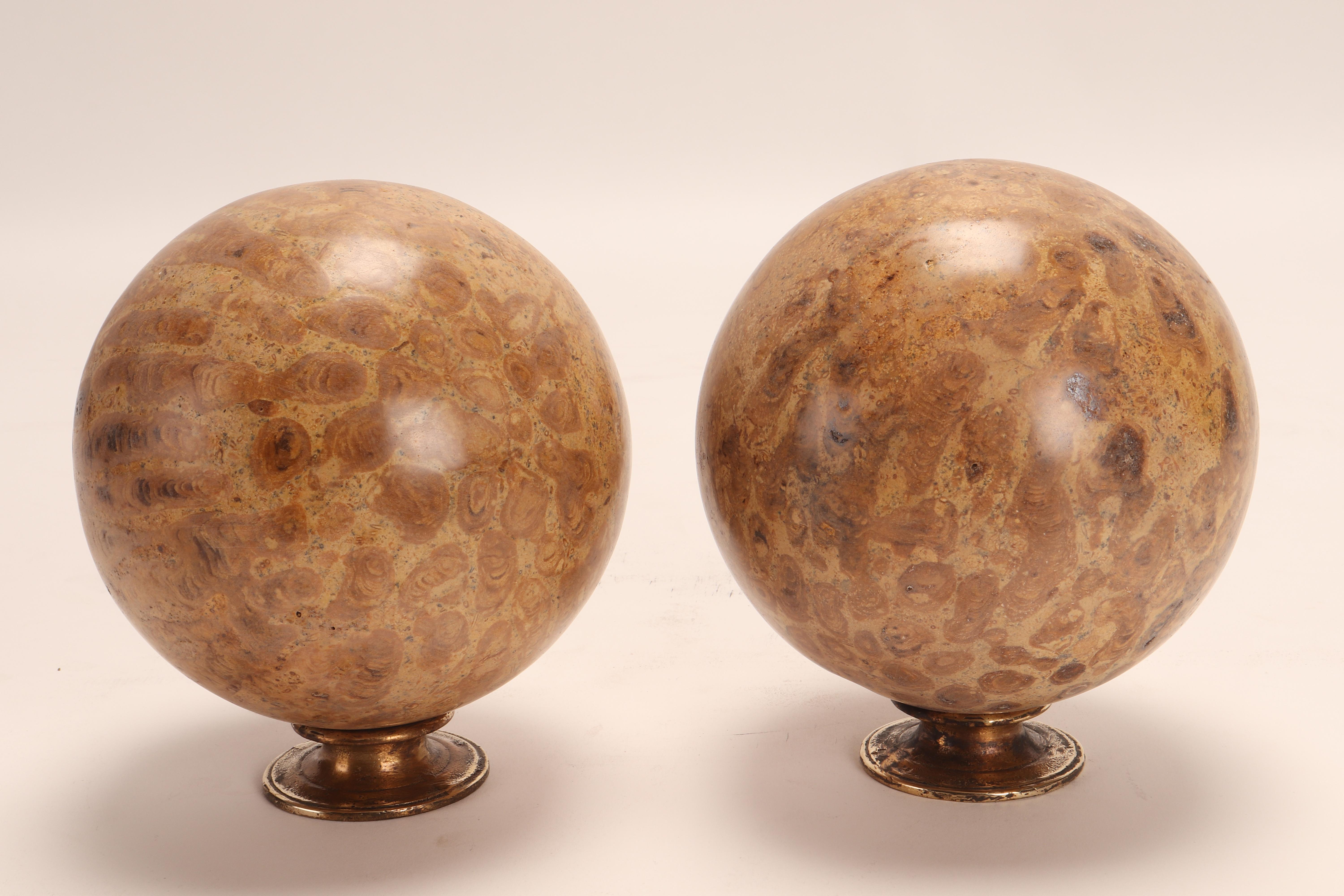 Pair of Big Fossil Coral Stone Spheres, Italy, 1870 5
