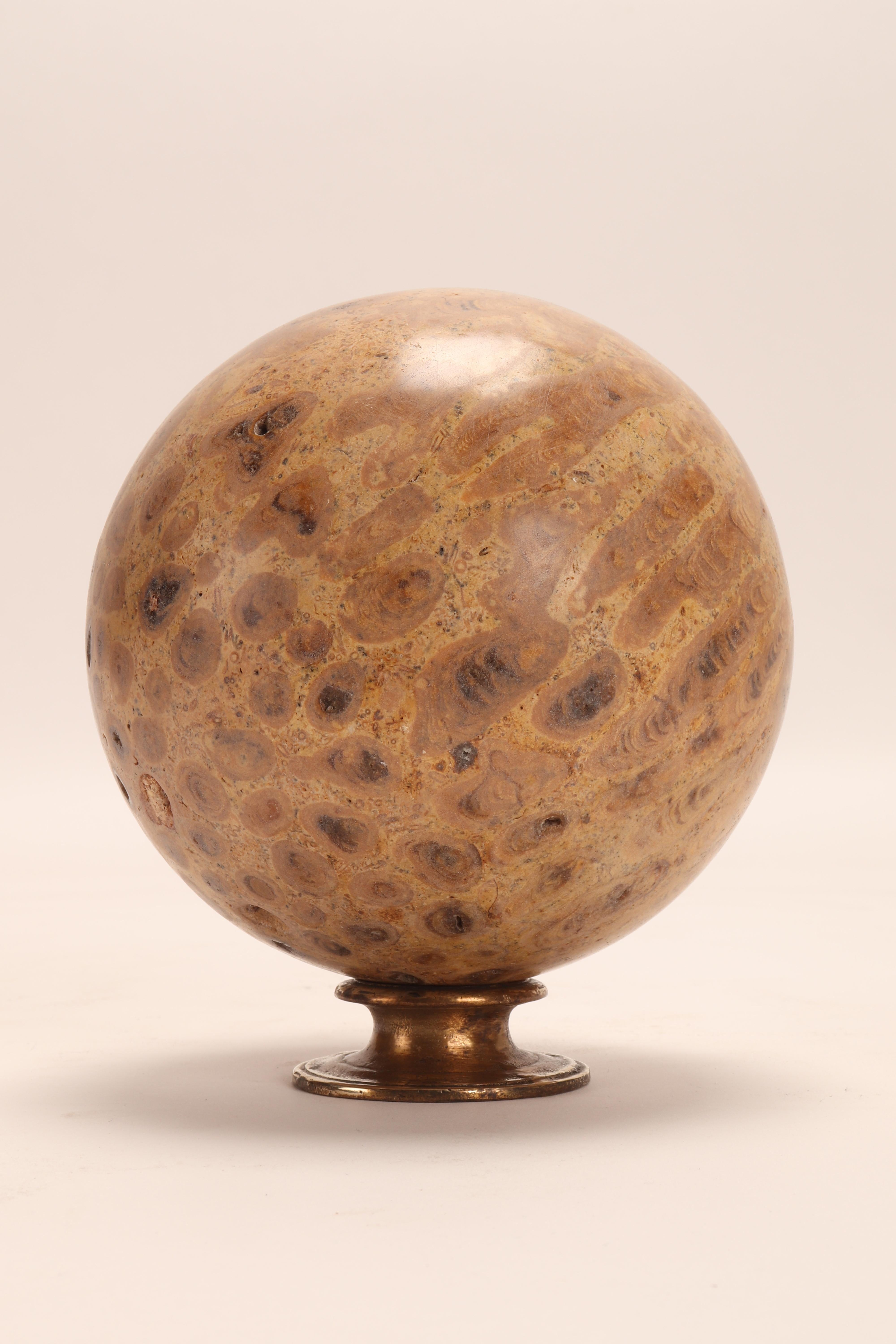 Pair of Big Fossil Coral Stone Spheres, Italy, 1870 2