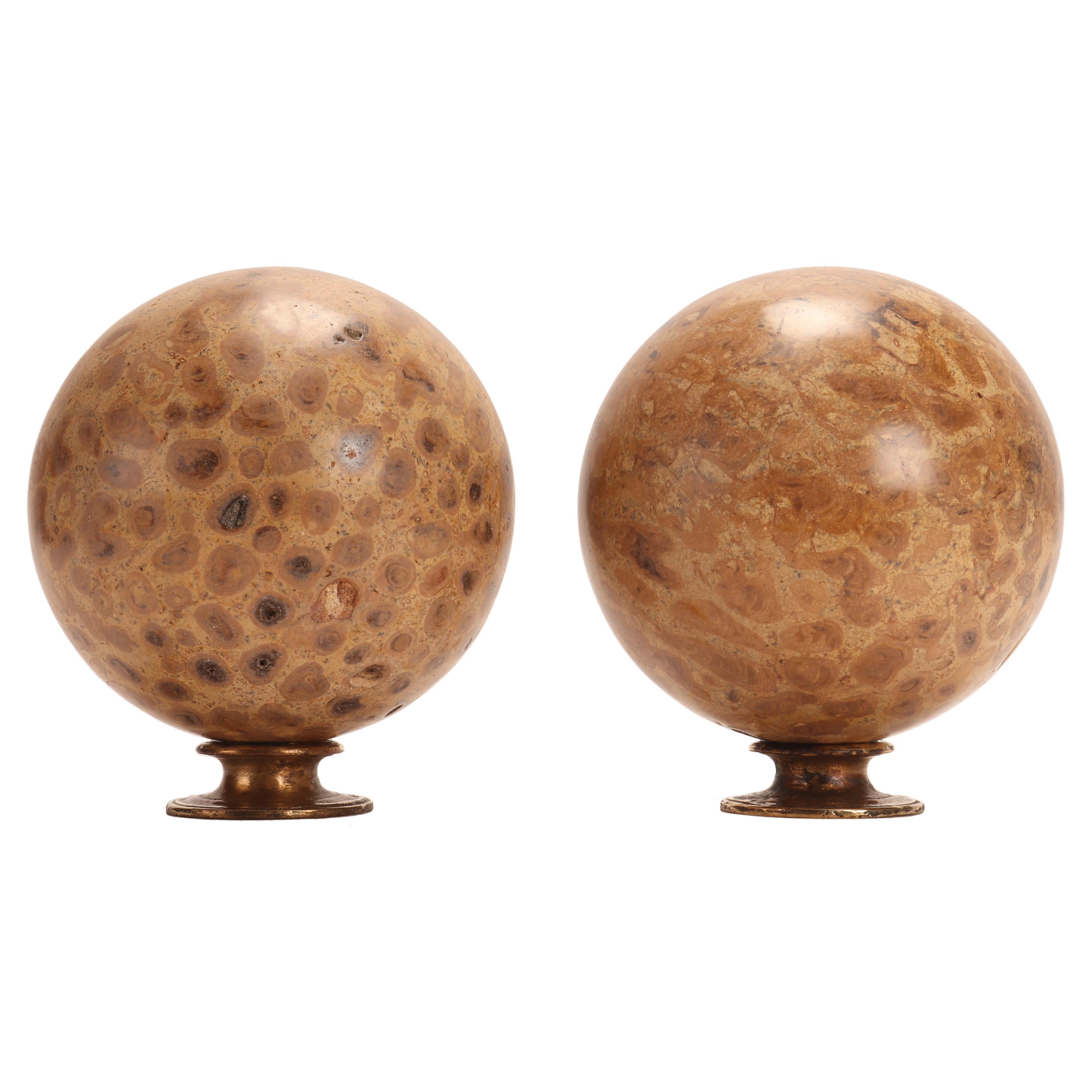 Pair of Big Fossil Coral Stone Spheres, Italy, 1870