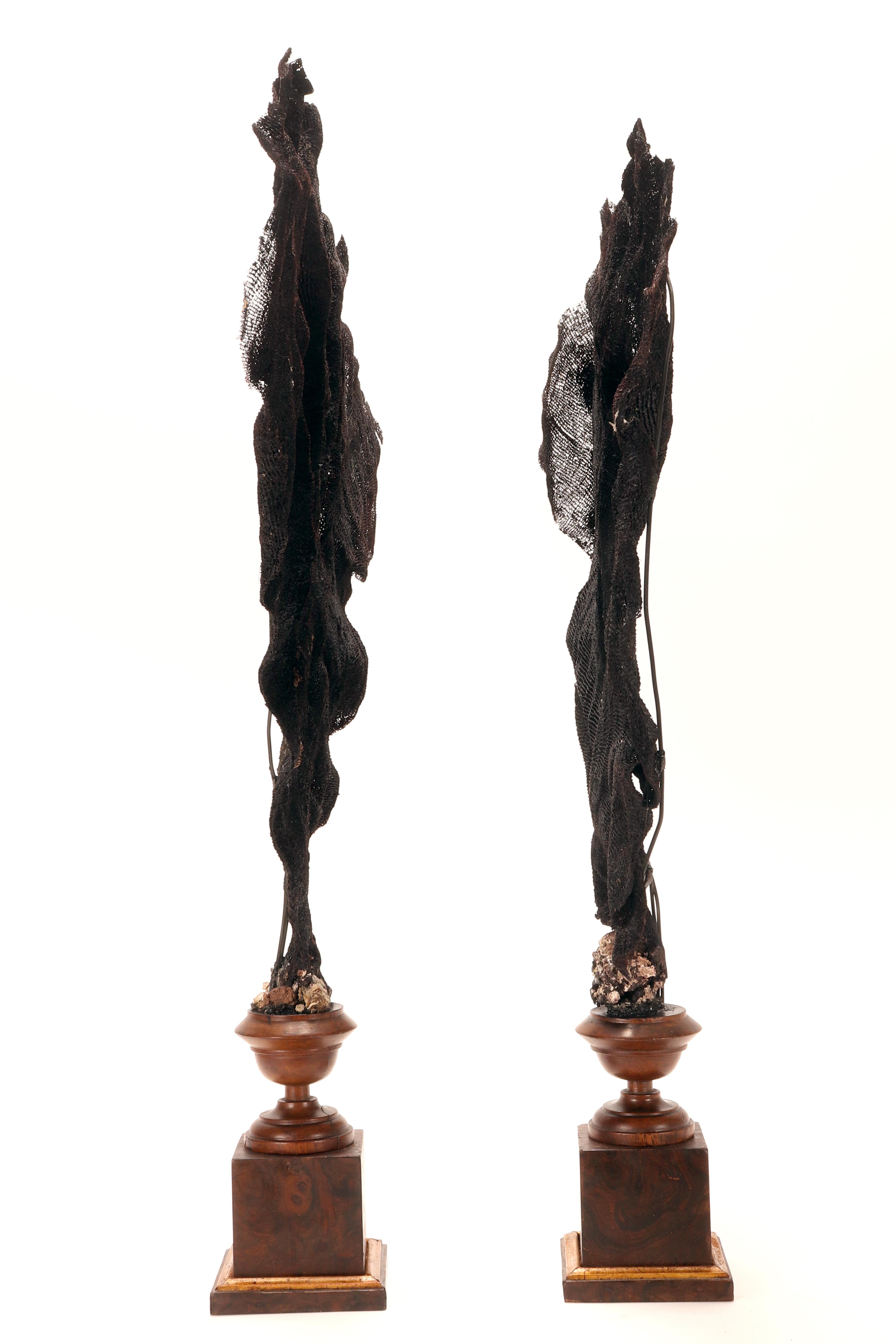 Paire de branches d'éventail noir, Italie, fin du XIXe siècle. en vente 8