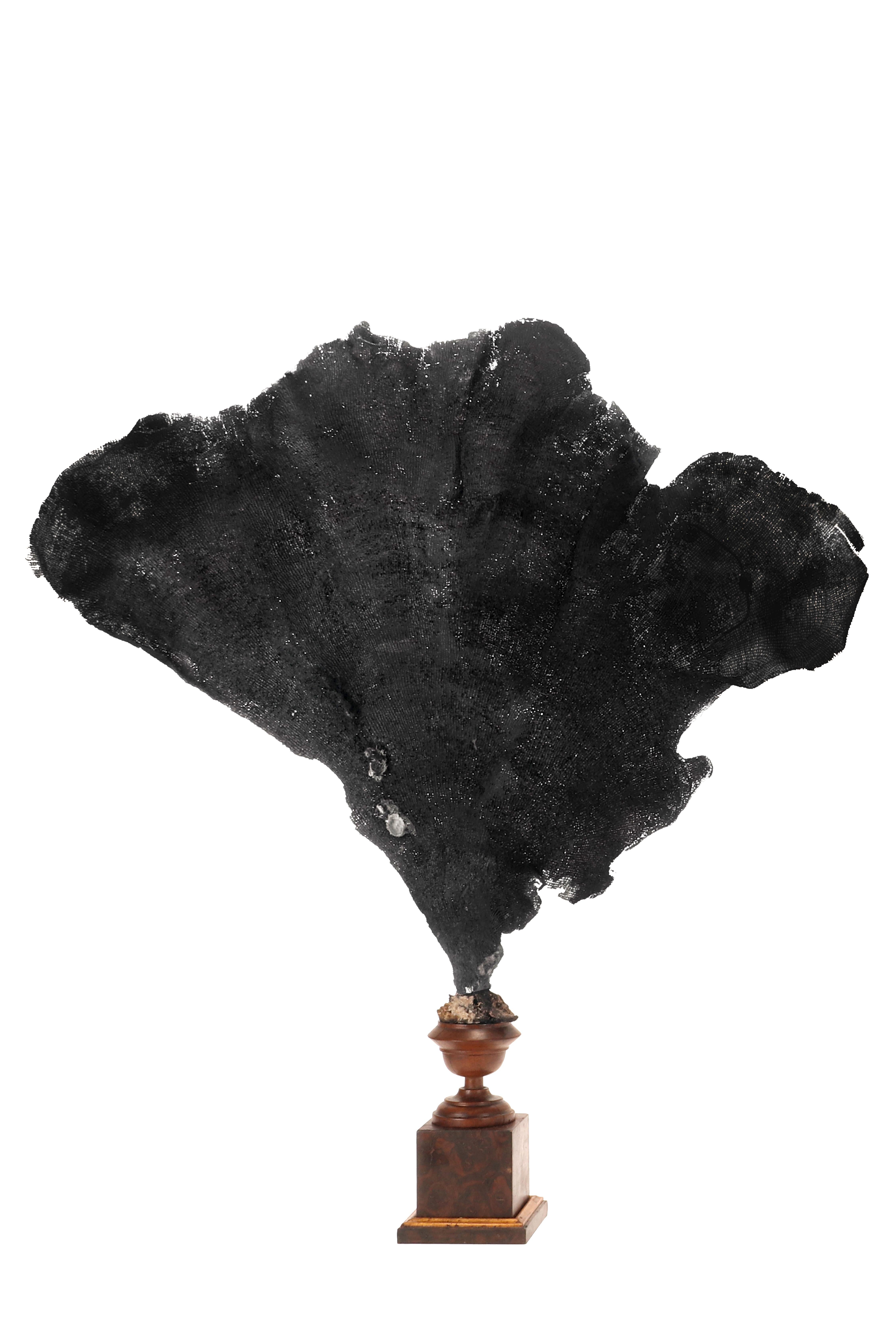 Paire de branches d'éventail noir, Italie, fin du XIXe siècle. en vente 9