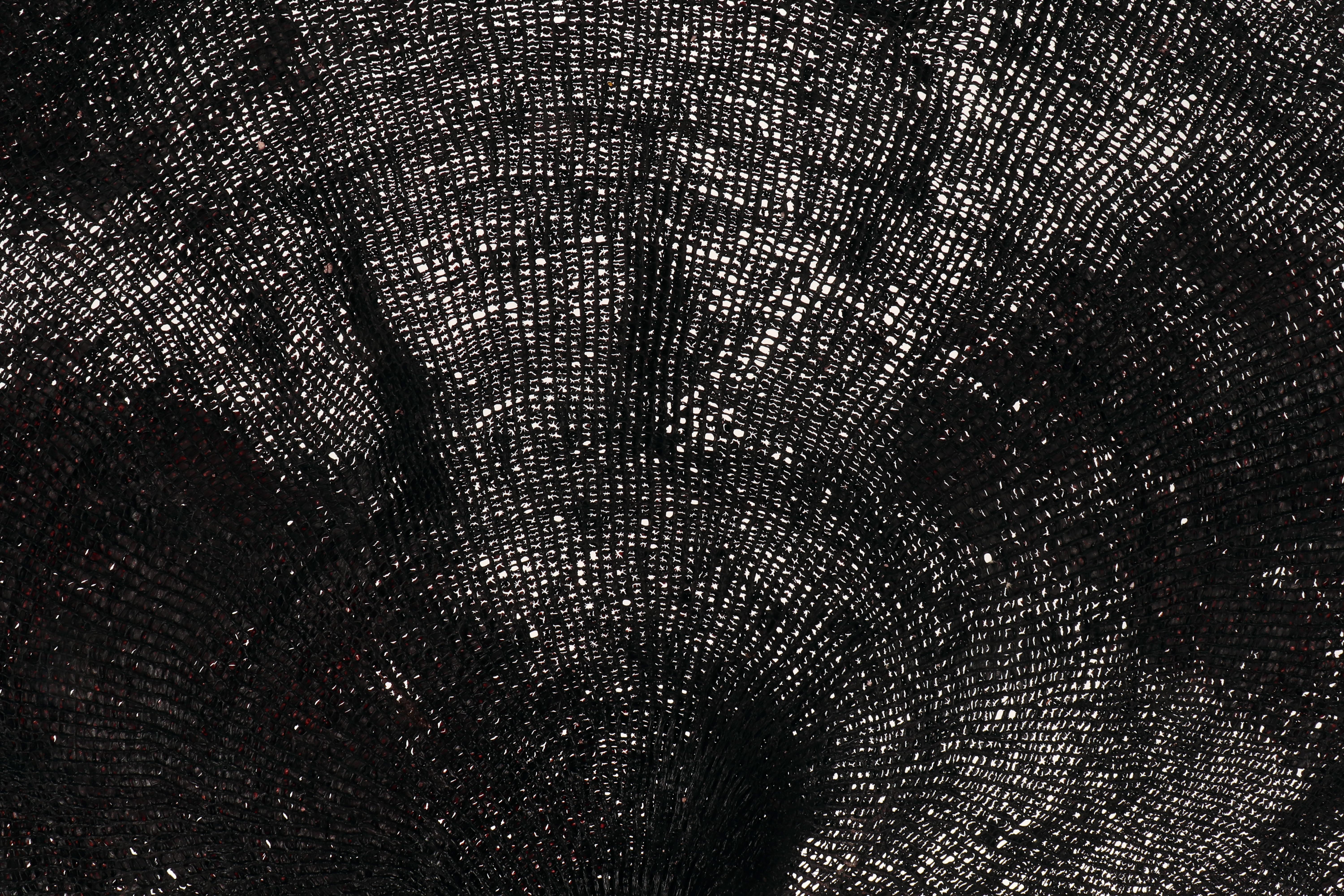 Noyer Paire de branches d'éventail noir, Italie, fin du XIXe siècle. en vente