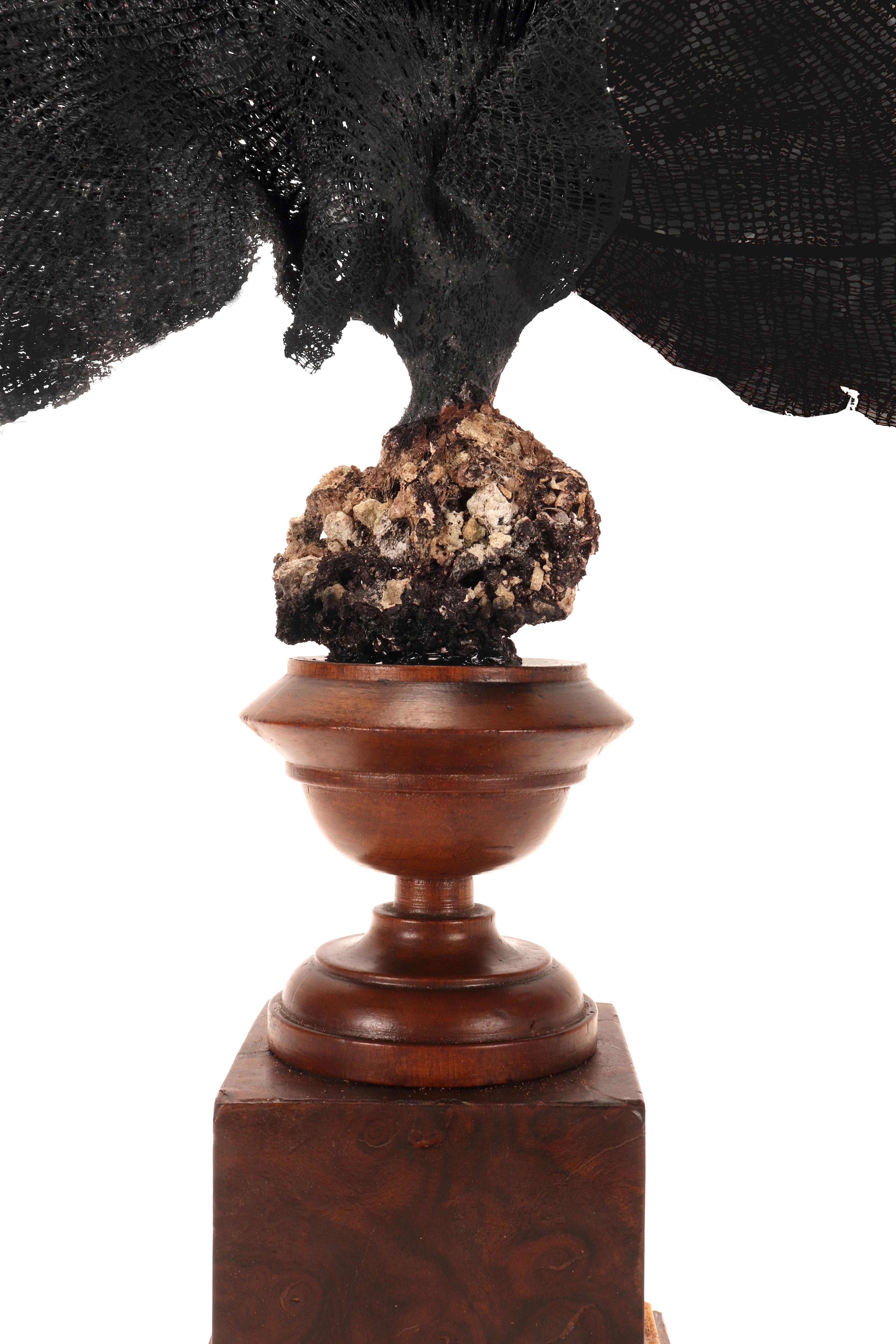 Paire de branches d'éventail noir, Italie, fin du XIXe siècle. en vente 1