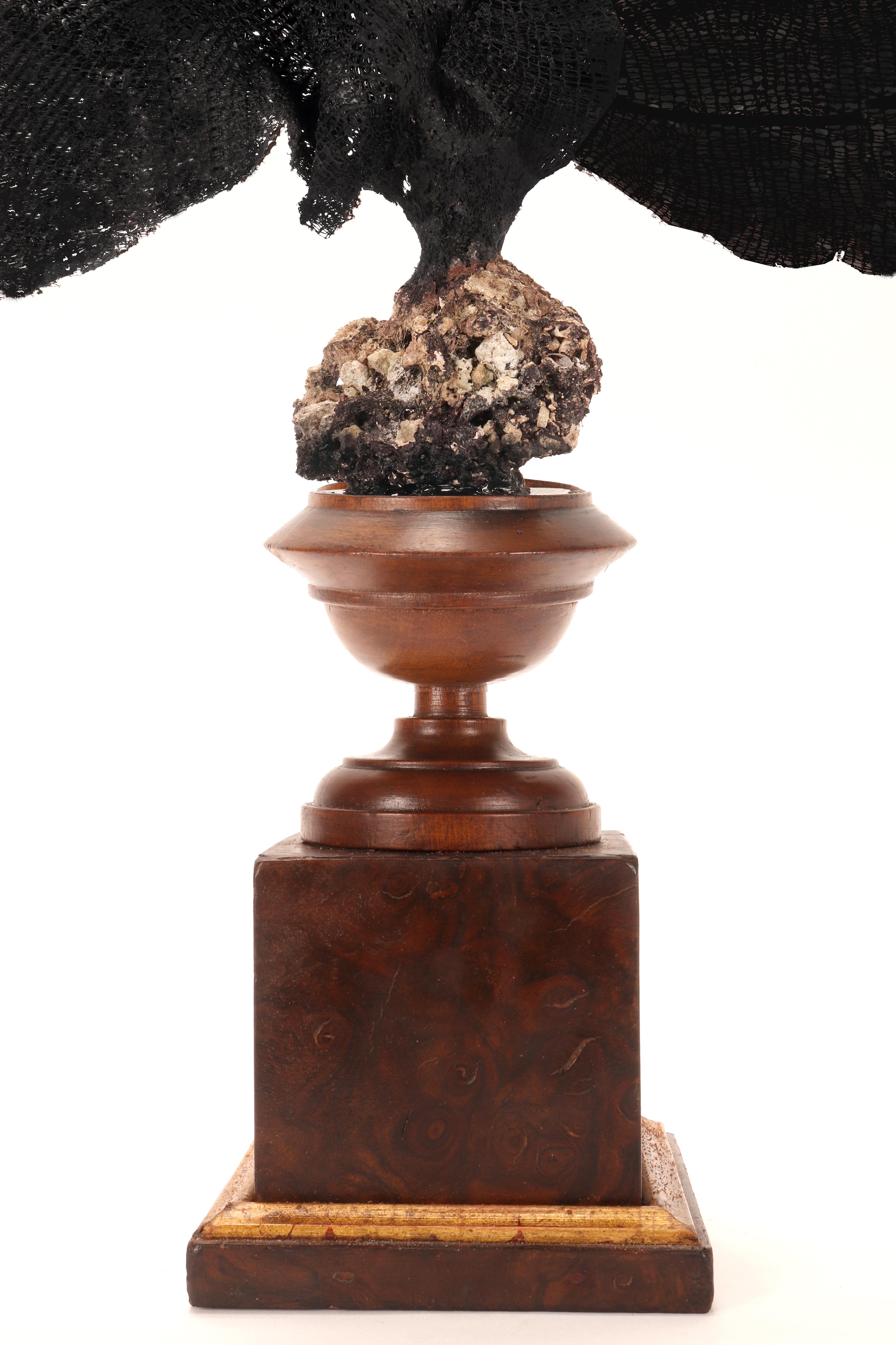 Paire de branches d'éventail noir, Italie, fin du XIXe siècle. en vente 2