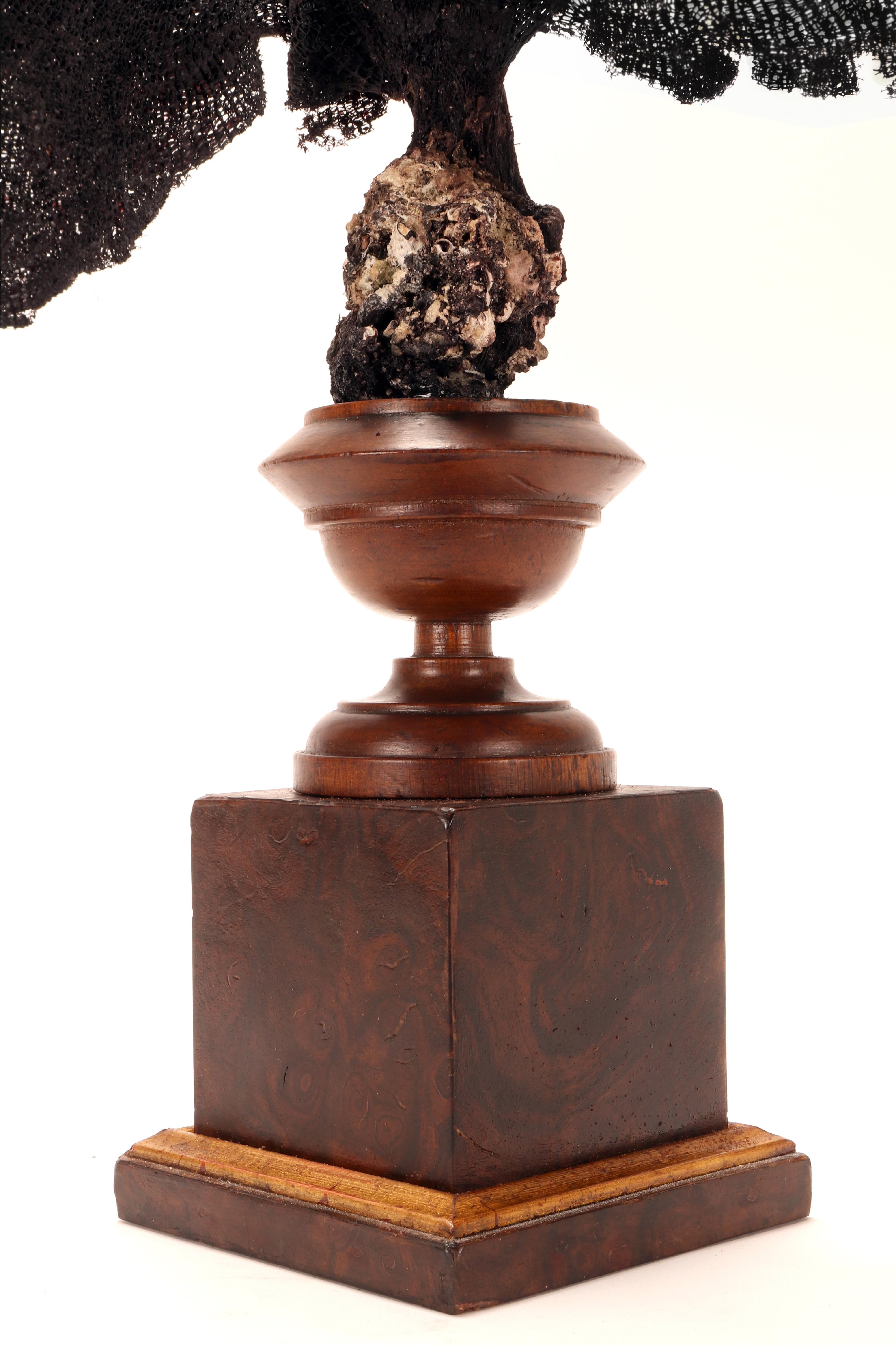 Paire de branches d'éventail noir, Italie, fin du XIXe siècle. en vente 3