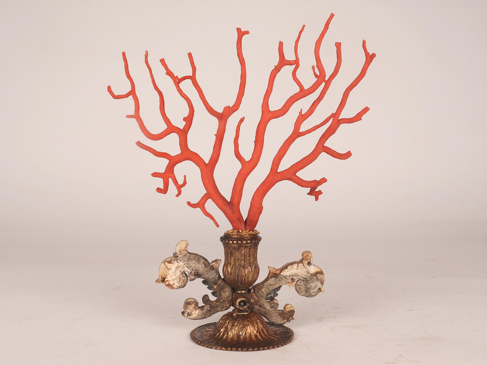 A pair of branches of Mediterranean red coral (Corallium Rubrum), Sicily 1790 For Sale 8